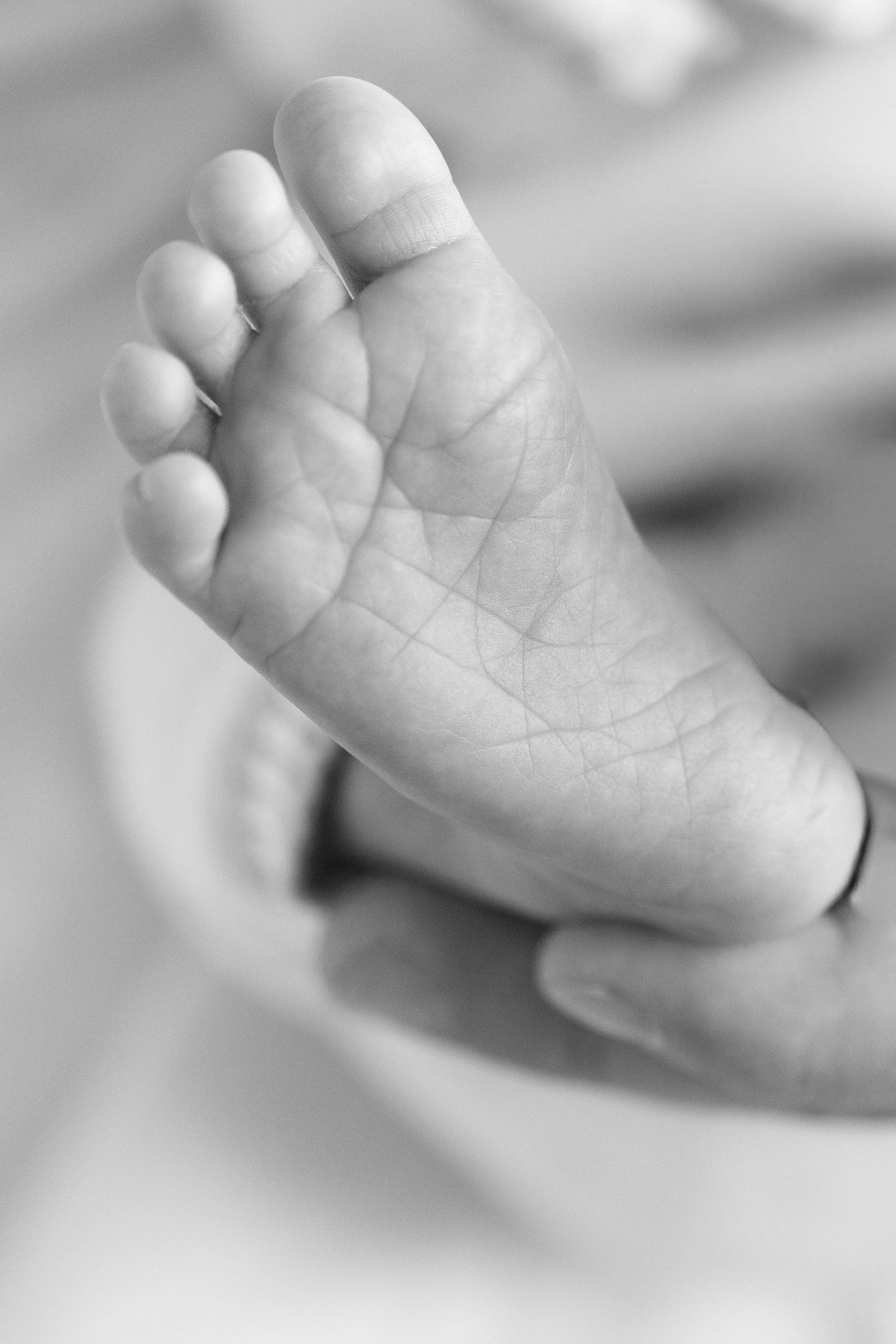 Black and white close-up photo of a newborn baby's tiny foot resting in an adult's gentle hand.