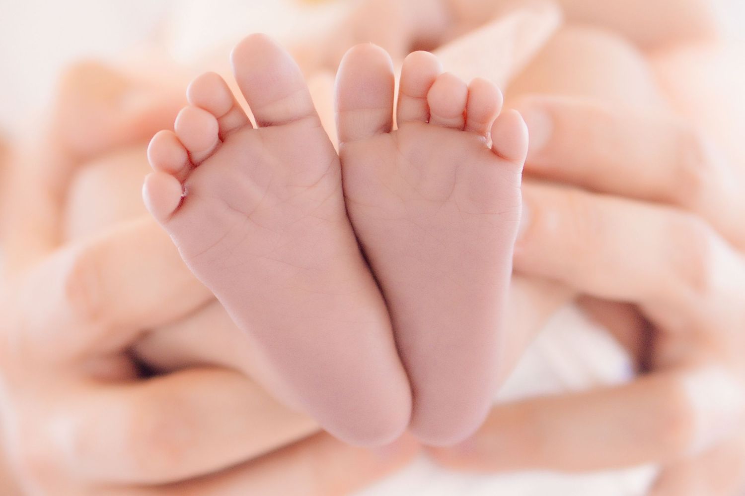 Close-up of tiny newborn baby feet cradled gently in adult hands, soft pink skin and delicate toes.
