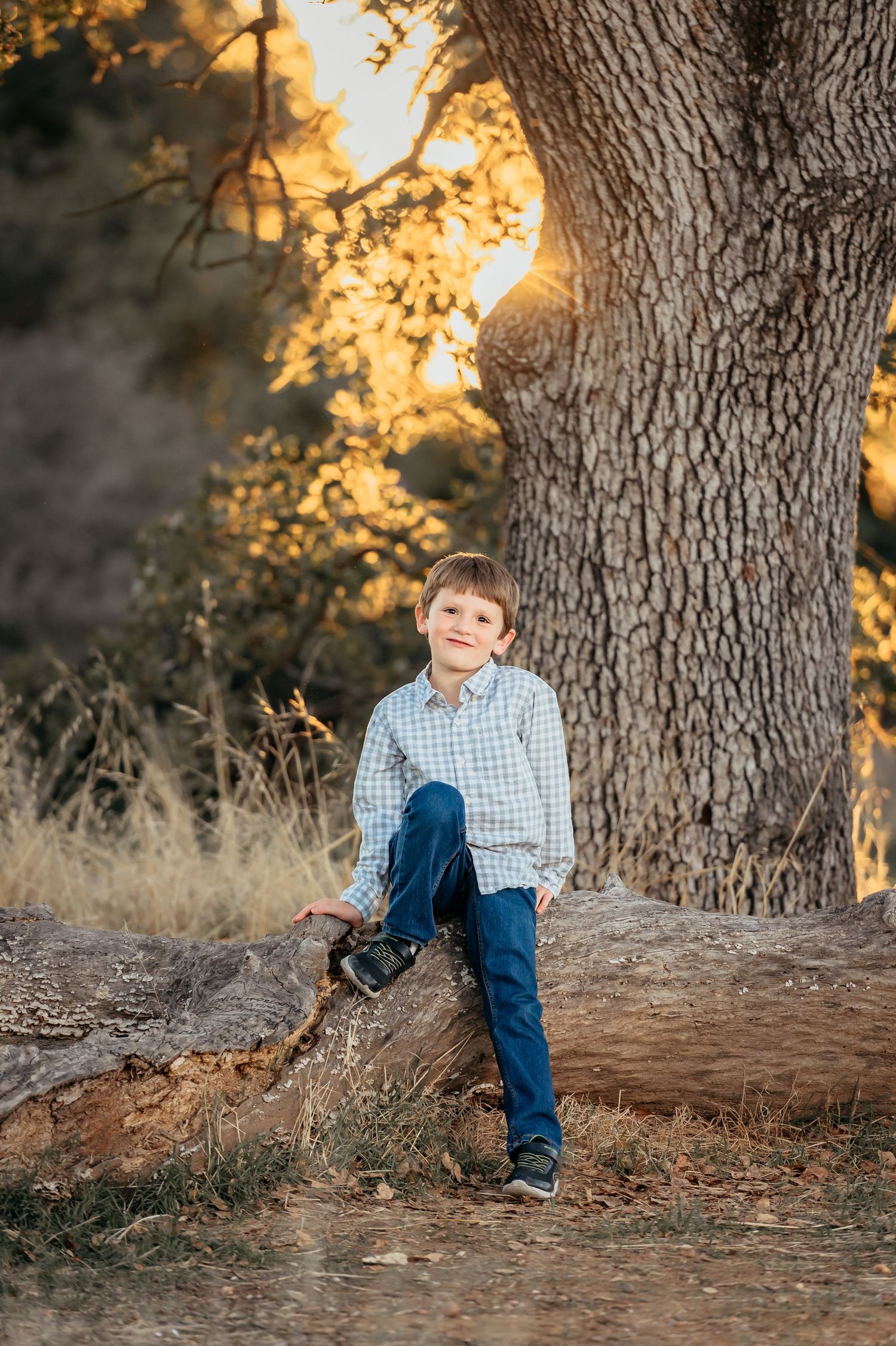 Young boy sitting on a log at sunset in orangevale, ca