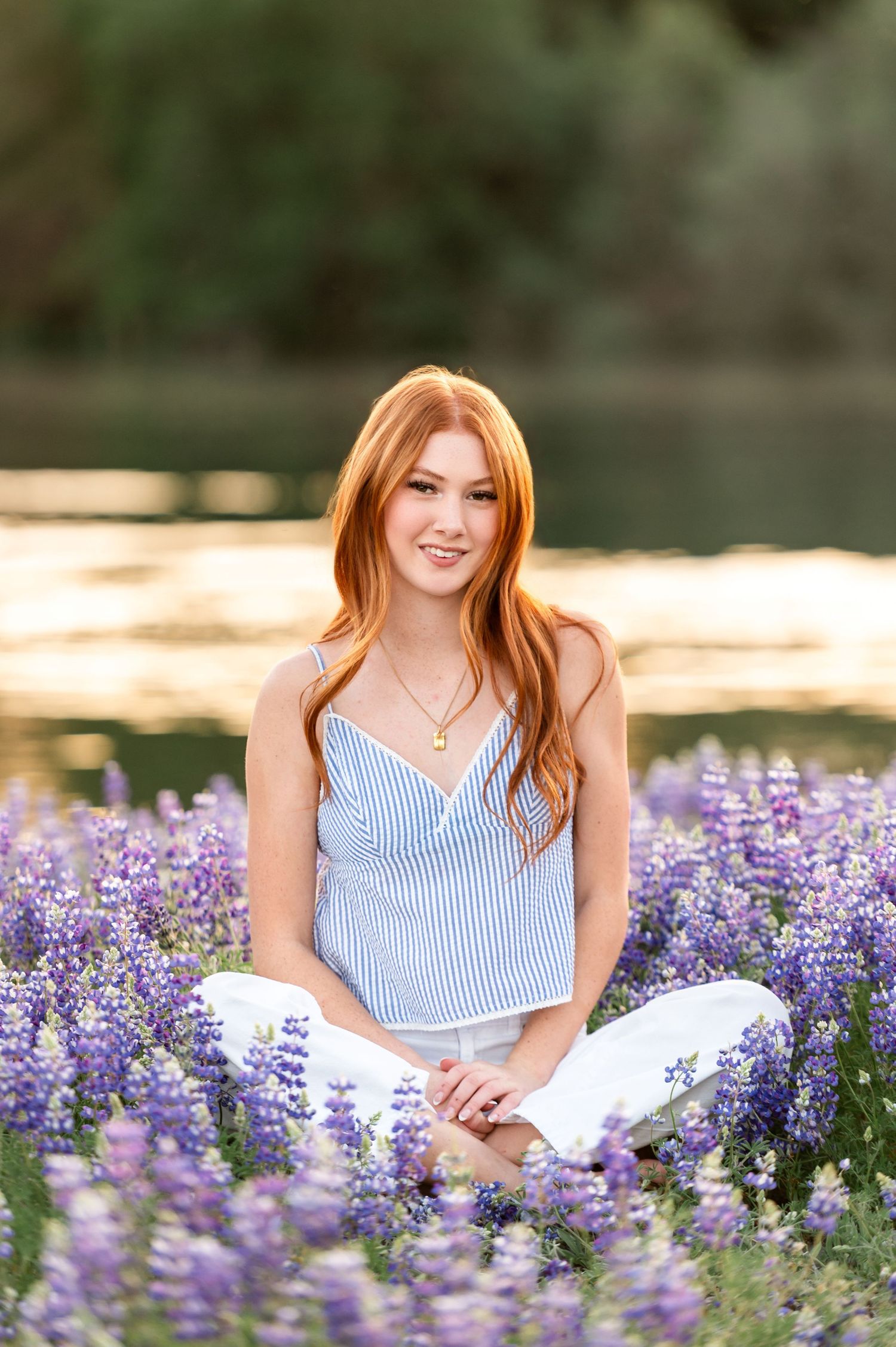 High School Senior sitting among Lupine Flowers by the American River