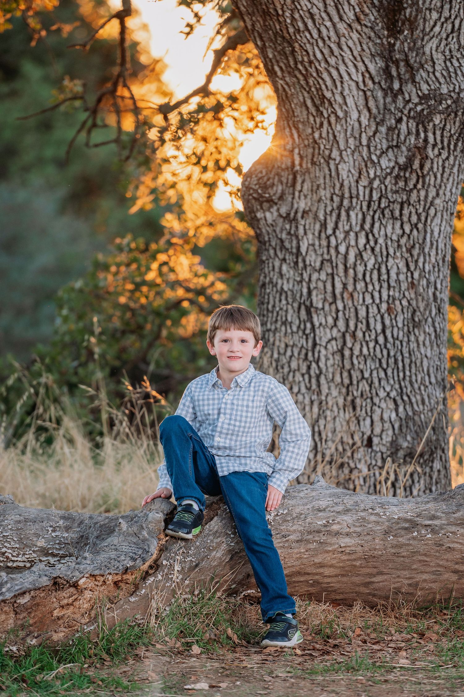 Young boy sitting on a log at Norma Hamlin Park in Orangevale, California with a sunset peeking through the trees