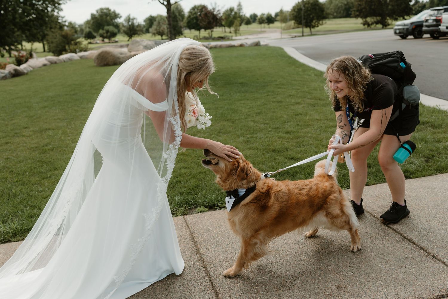 A golden retriever dog interacts with someone in a white dress outdoors on a sunny day.