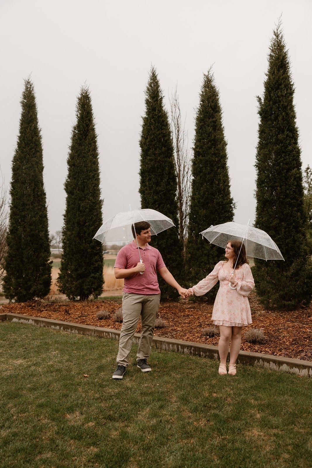 A couple with clear umbrellas holds hands on a lawn in front of tall cypress trees on an overcast day.
