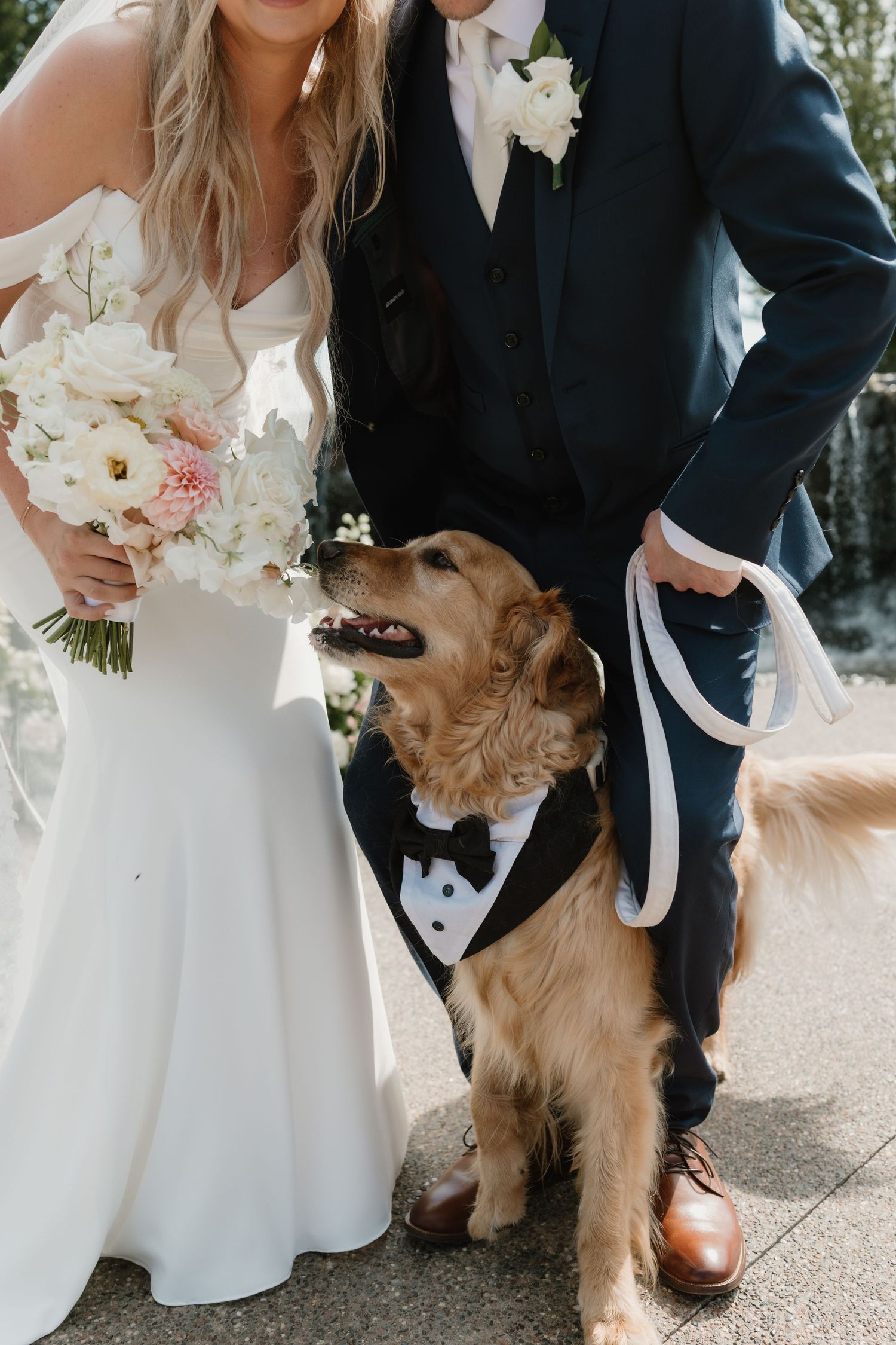 Golden retriever at a wedding courtesy of Becca's MN Pet Care in Minneapolis, MN