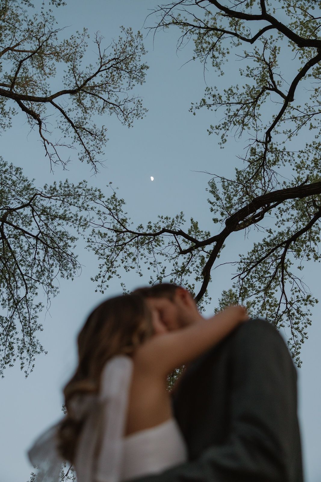 Blurred couple kissing under tree branches with moon visible in blue sky, romantic wedding photo taken from low angle.