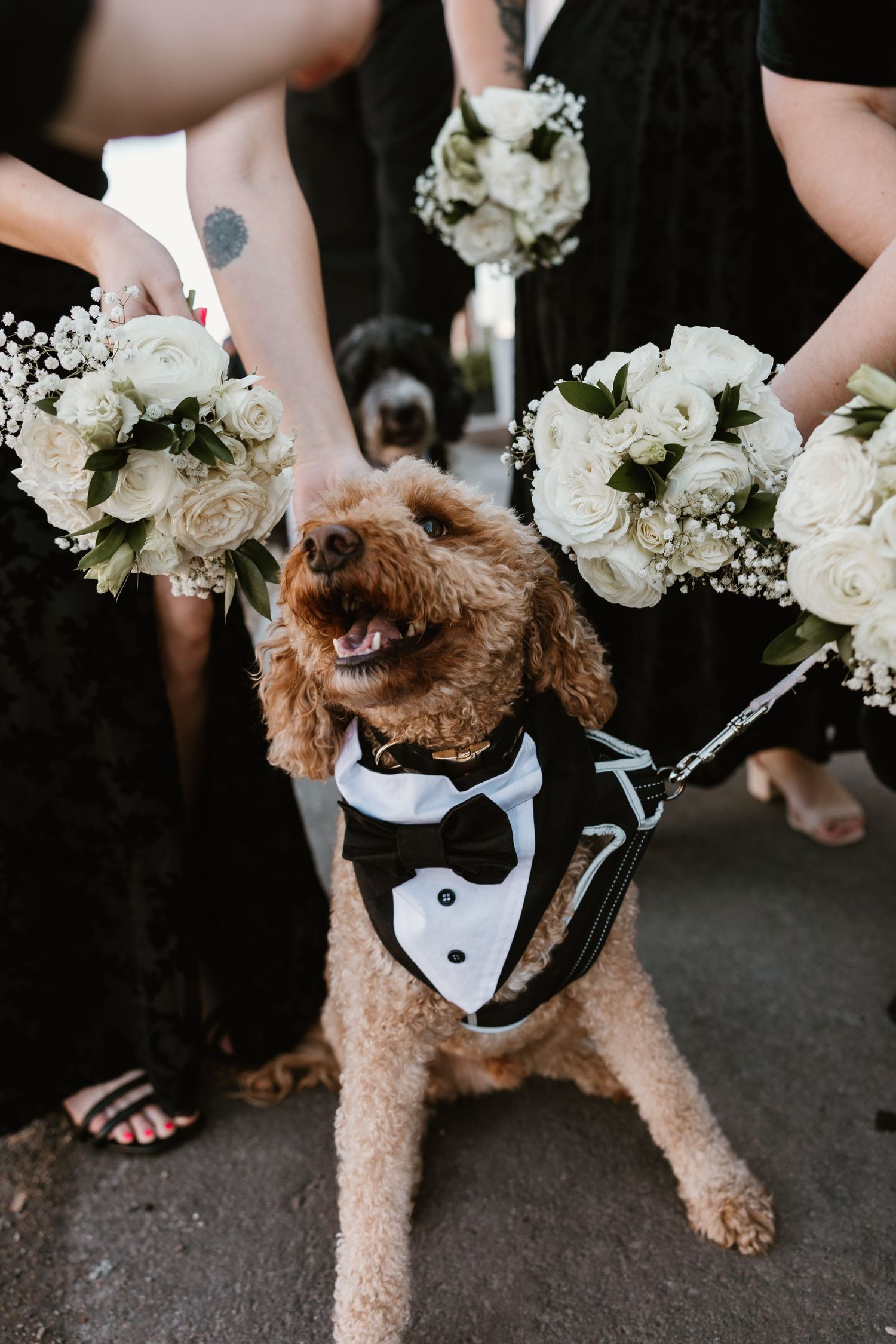 Adorable brown dog wearing tuxedo and bow tie poses with wedding bouquets at formal ceremony.