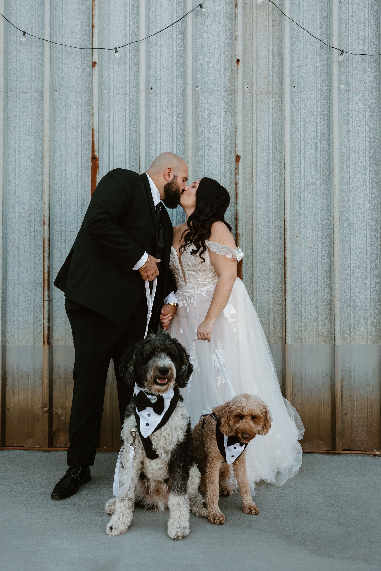 Wedding couple poses with their two adorable dogs dressed in bow ties against an industrial metal wall backdrop.
