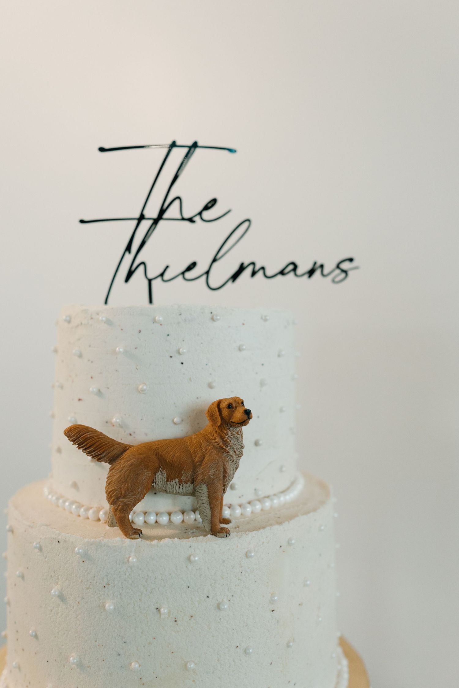 A white wedding cake decorated with a small brown dog figurine and signature text on top.