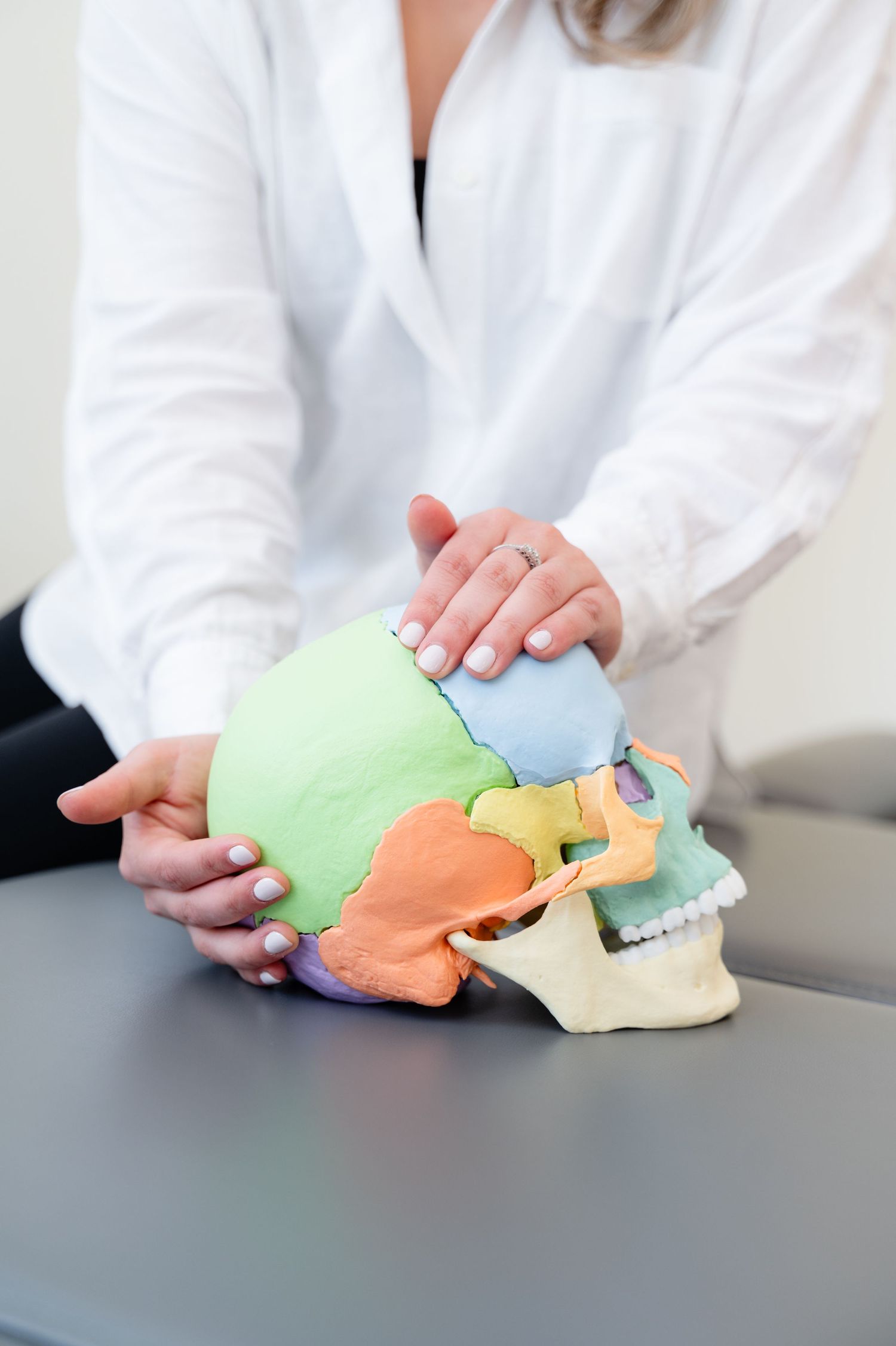 Close-up of hands examining colorful anatomical skull model on dark surface.