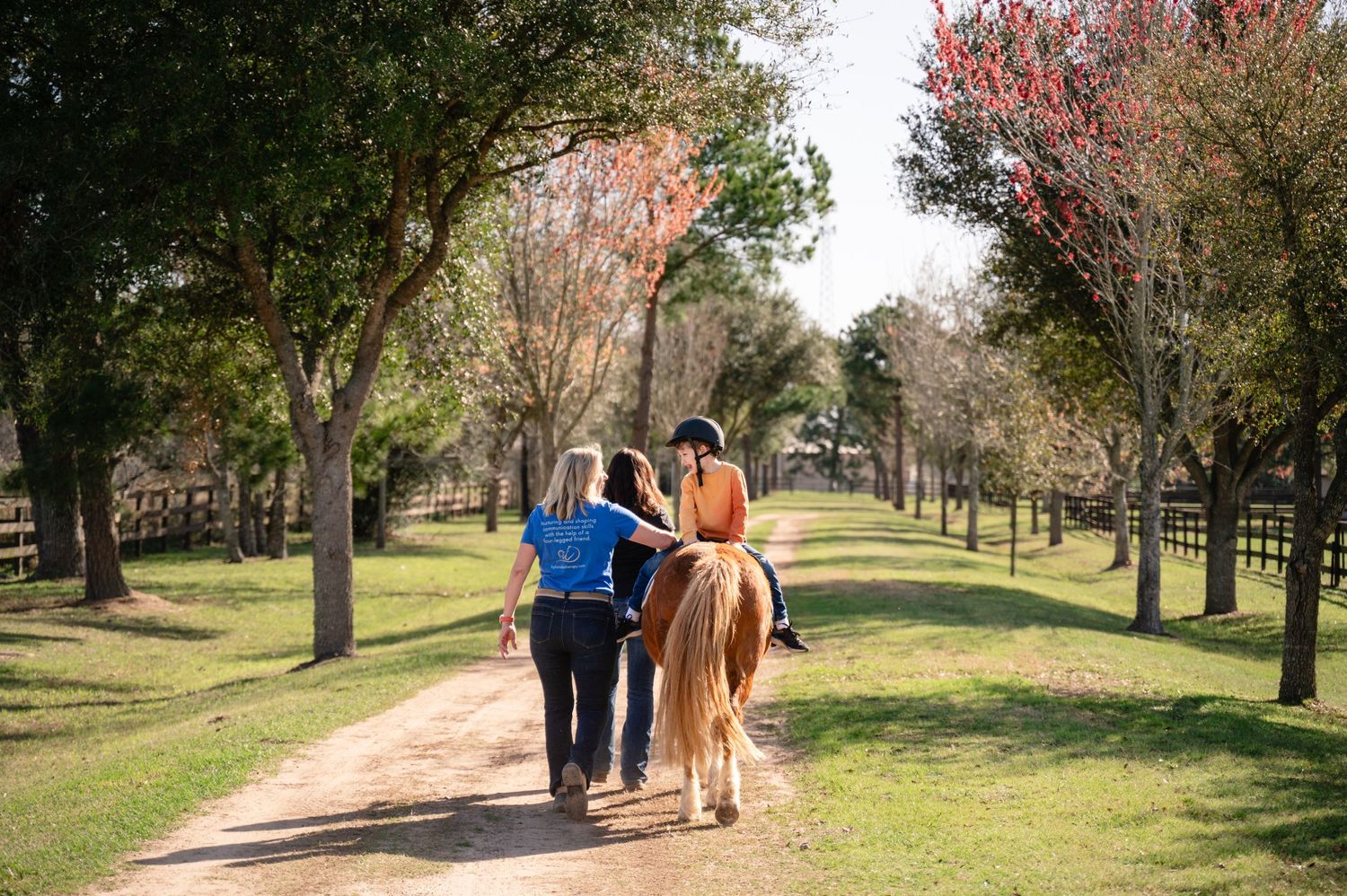 Two people walking with a brown horse on a tree-lined path in a sunny park.