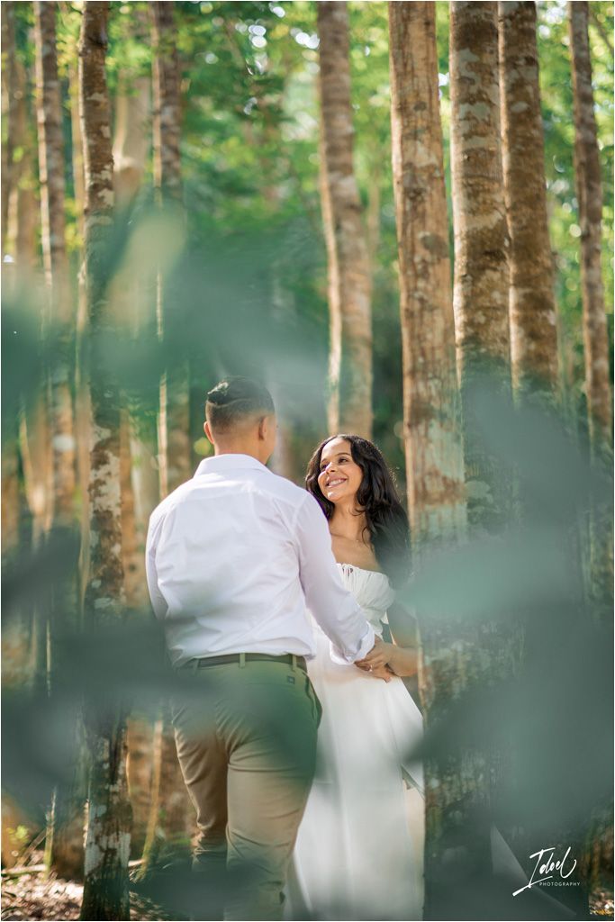 A romantic moment captured between a couple in a misty forest with tall birch trees creating a dreamy atmosphere.