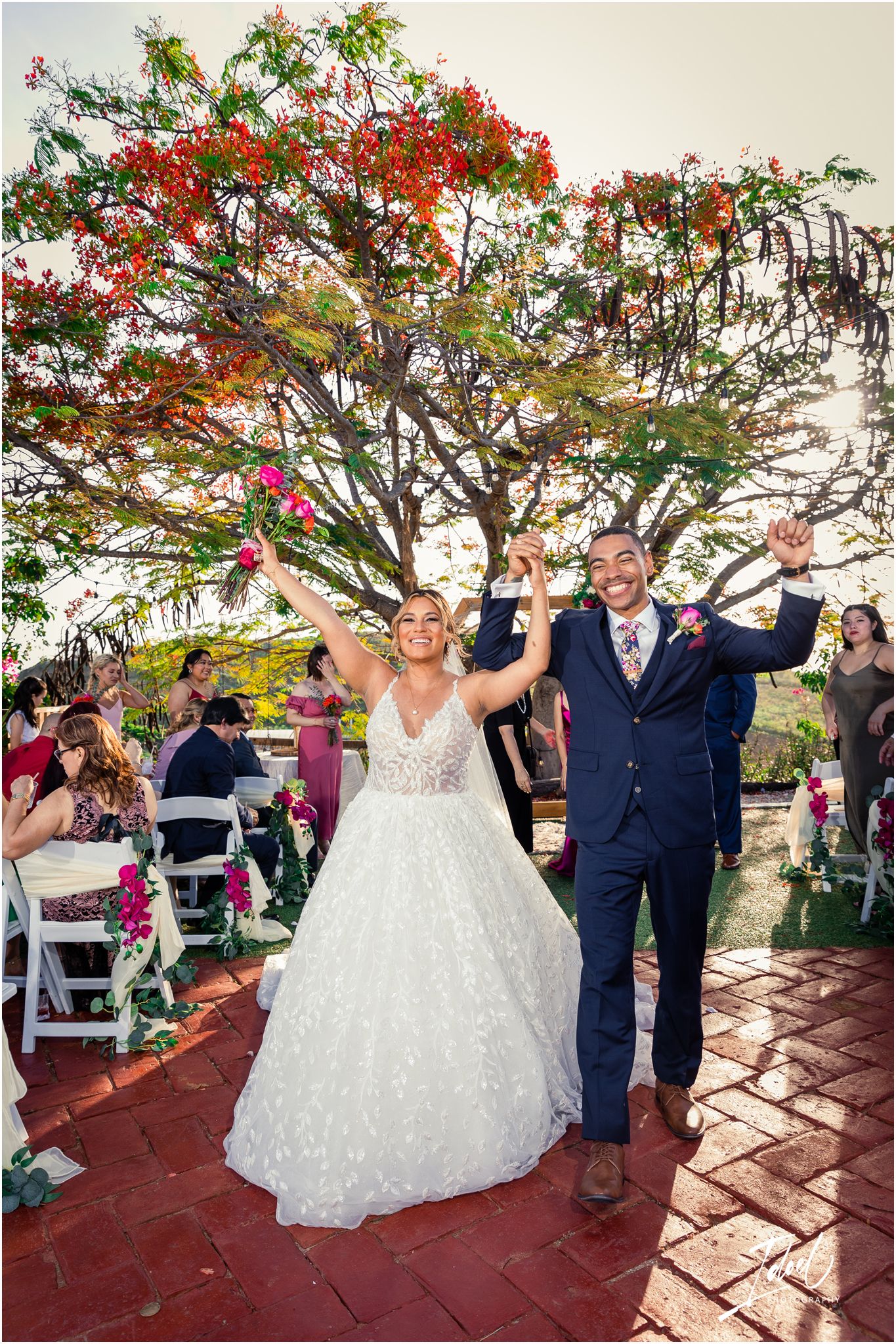 Jubilant celebration under a blooming Royal Poinciana tree during outdoor wedding ceremony.