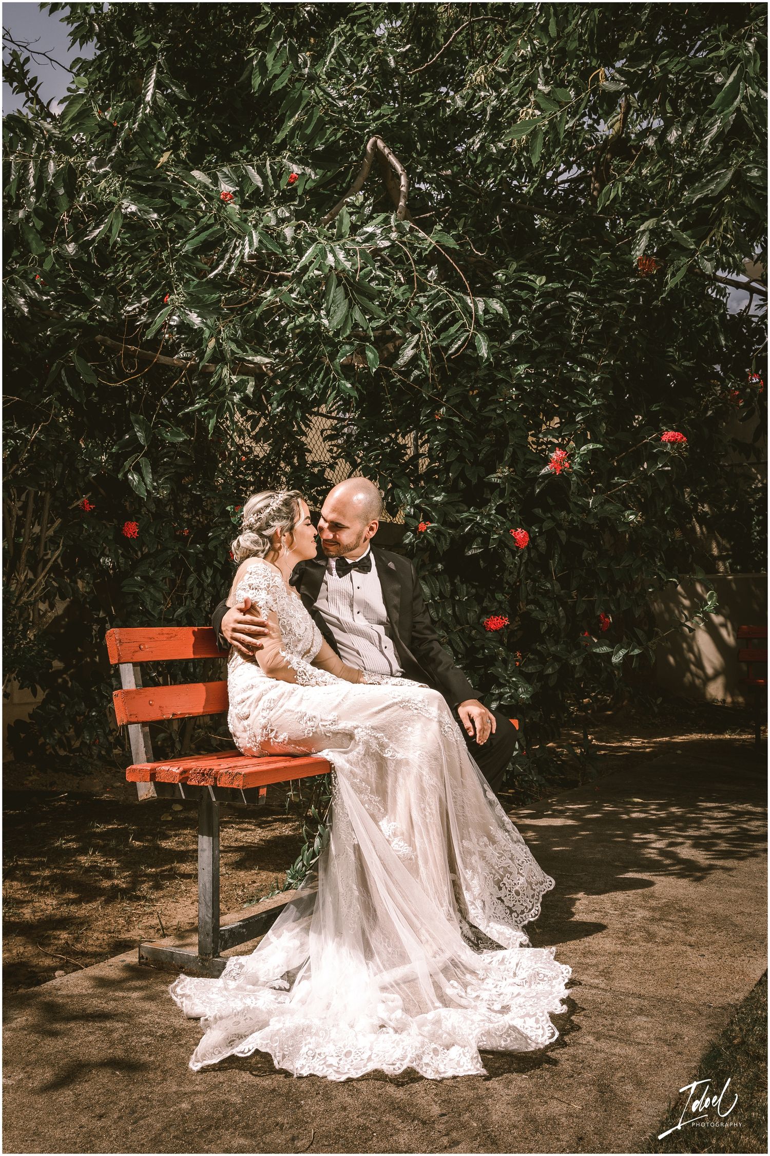 Romantic garden scene with couple seated on red bench surrounded by lush foliage and flowers.