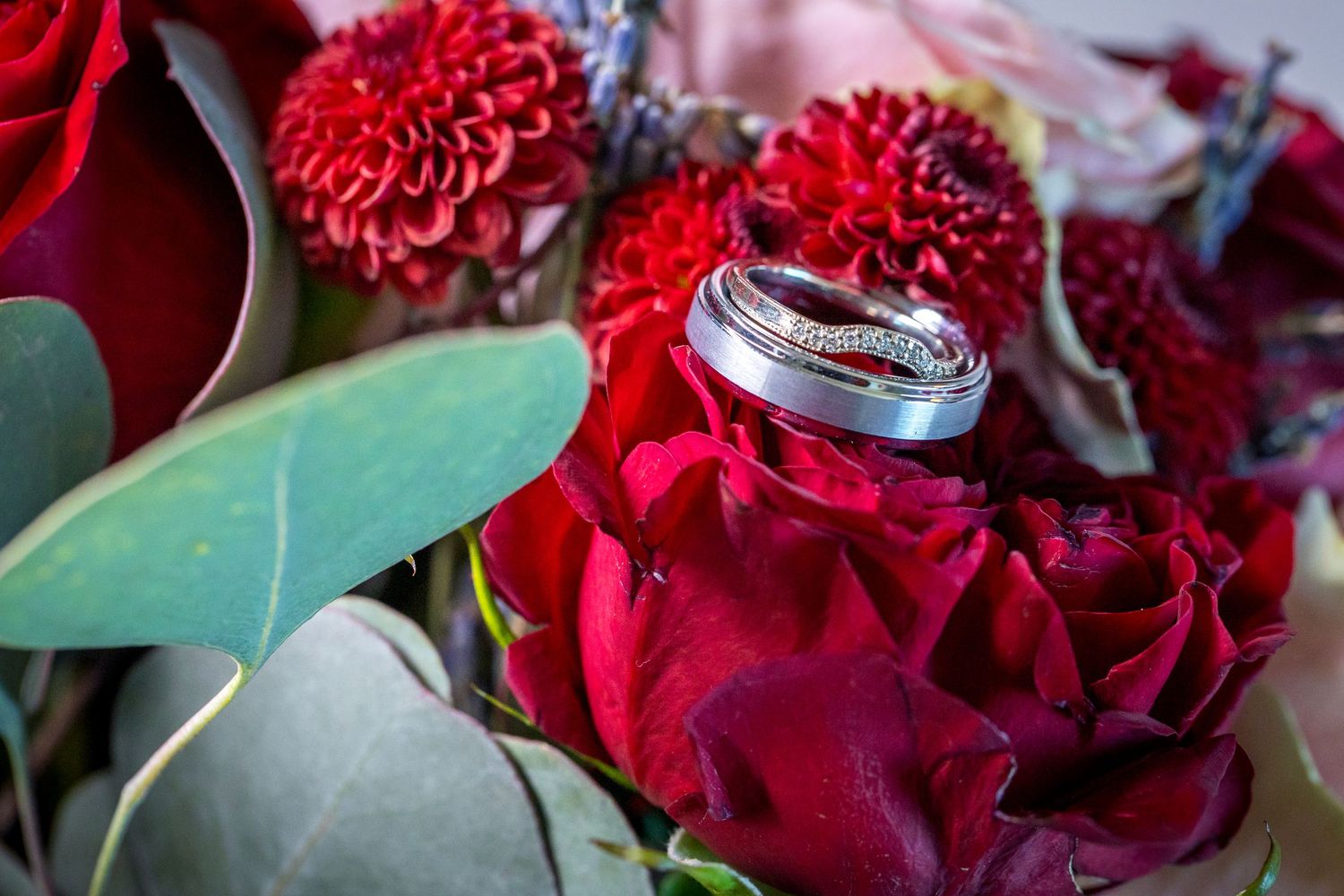 Wedding rings nestled among red roses and dahlia flowers with green foliage.