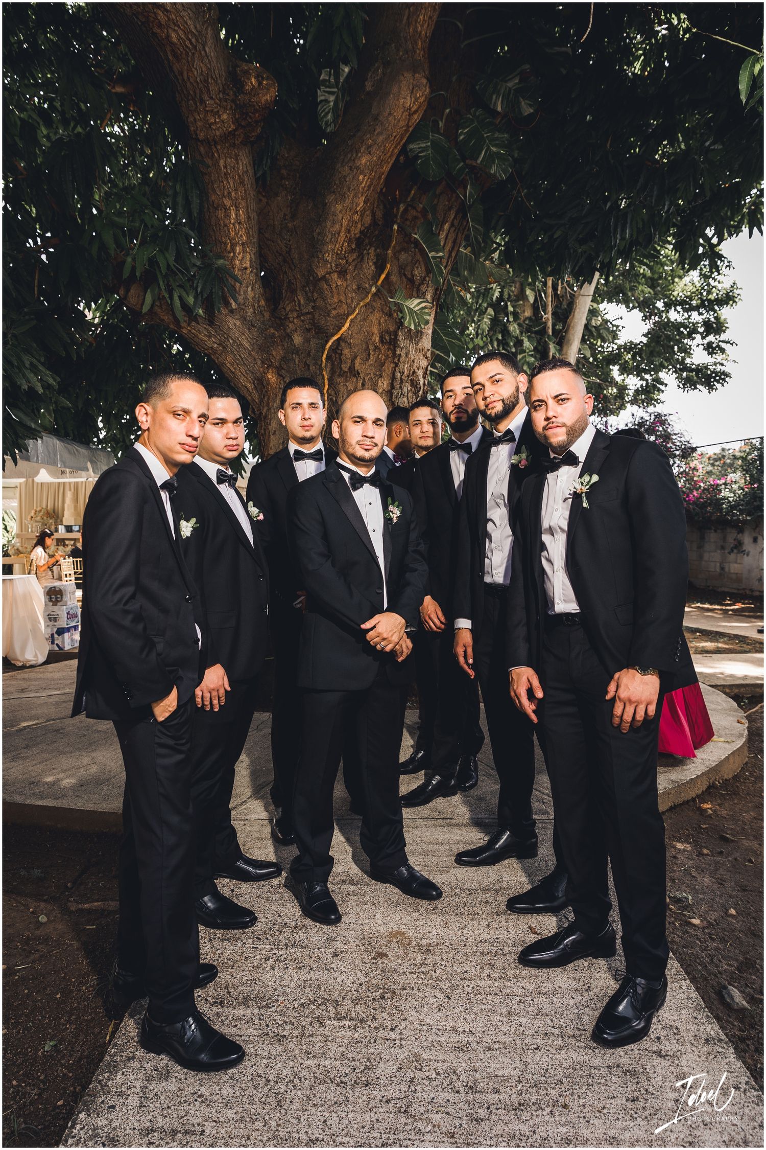 Wedding party in black tuxedos poses together under a large tree at an outdoor venue.