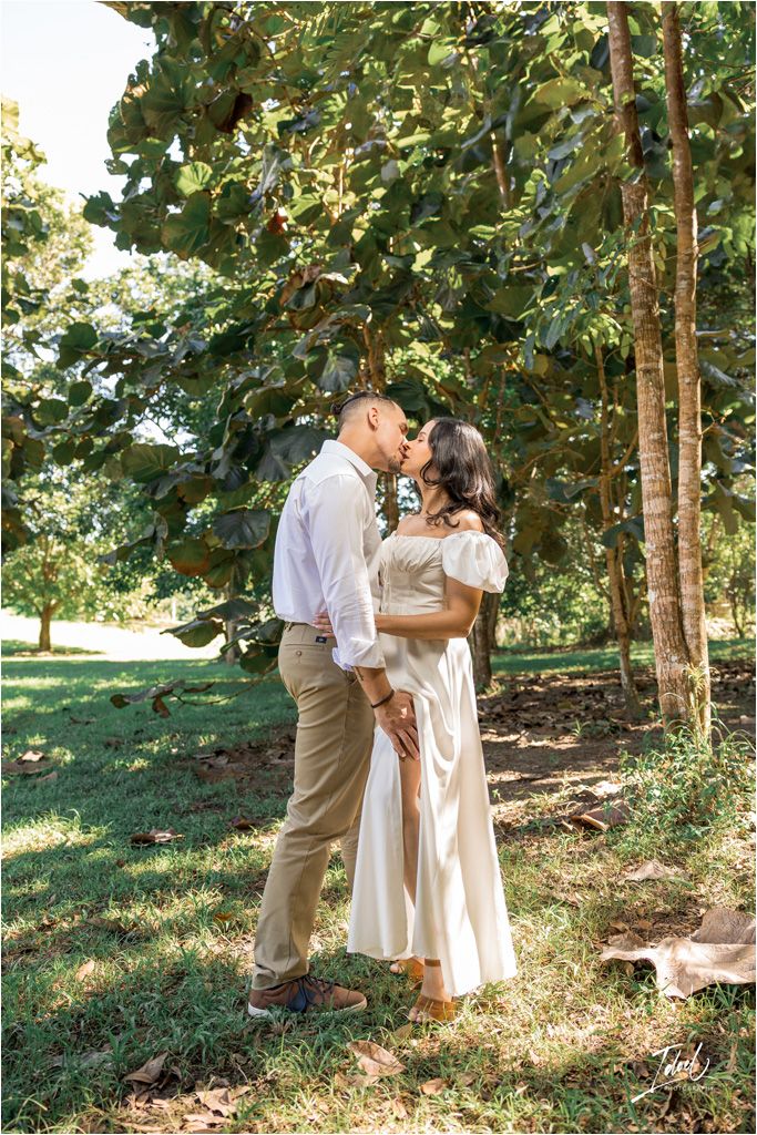 A delicate romantic scene of an intimate moment shared between a couple under the trees in golden natural light.