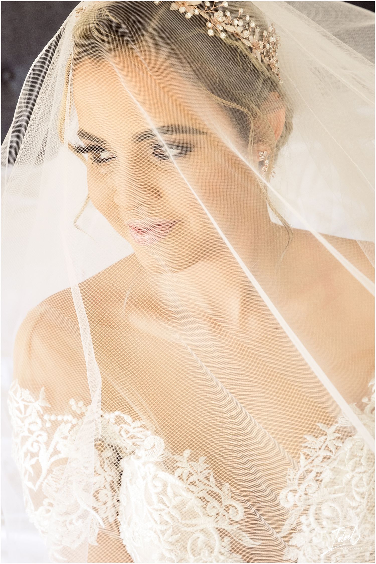 Ethereal bridal portrait with crystal headpiece and sheer veil against soft lighting.