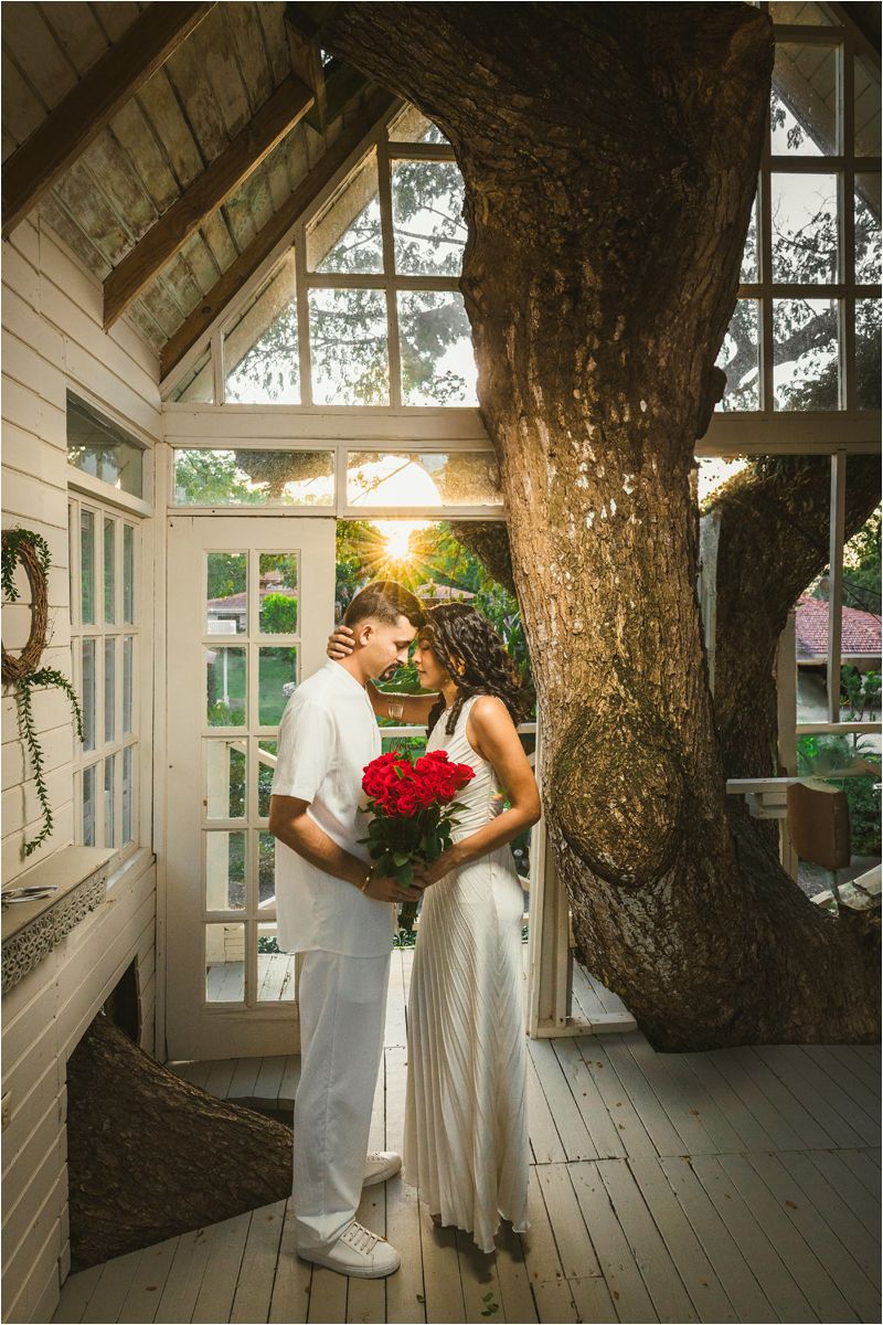 A romantic wedding photoshoot sequence on a wooden deck with a large tree trunk and sunlight streaming through windows.