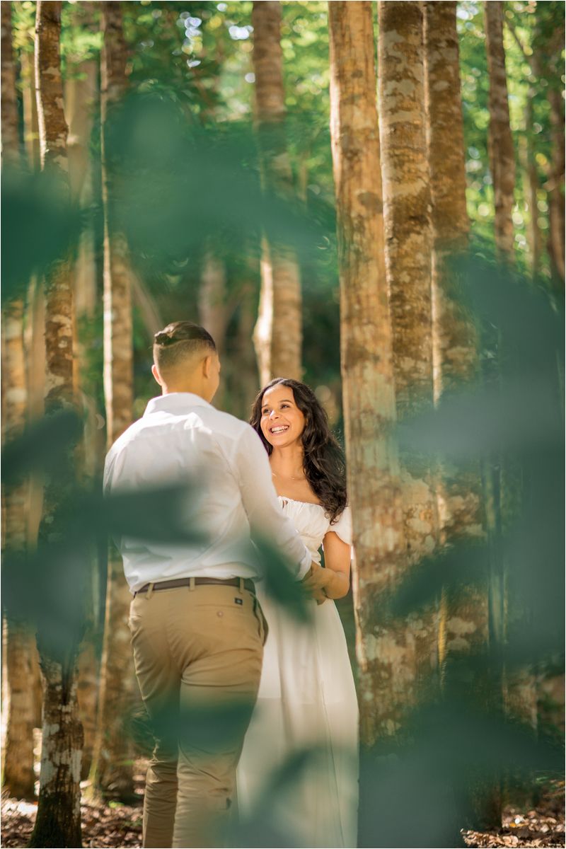 A romantic engagement photoshoot in a sunlit forest with pine trees creating a dreamy atmosphere.
