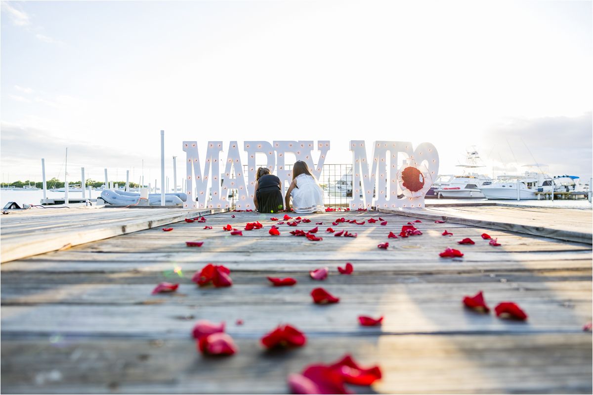 Red rose petals scattered along a wooden pier with people sitting at a distance overlooking a marina.