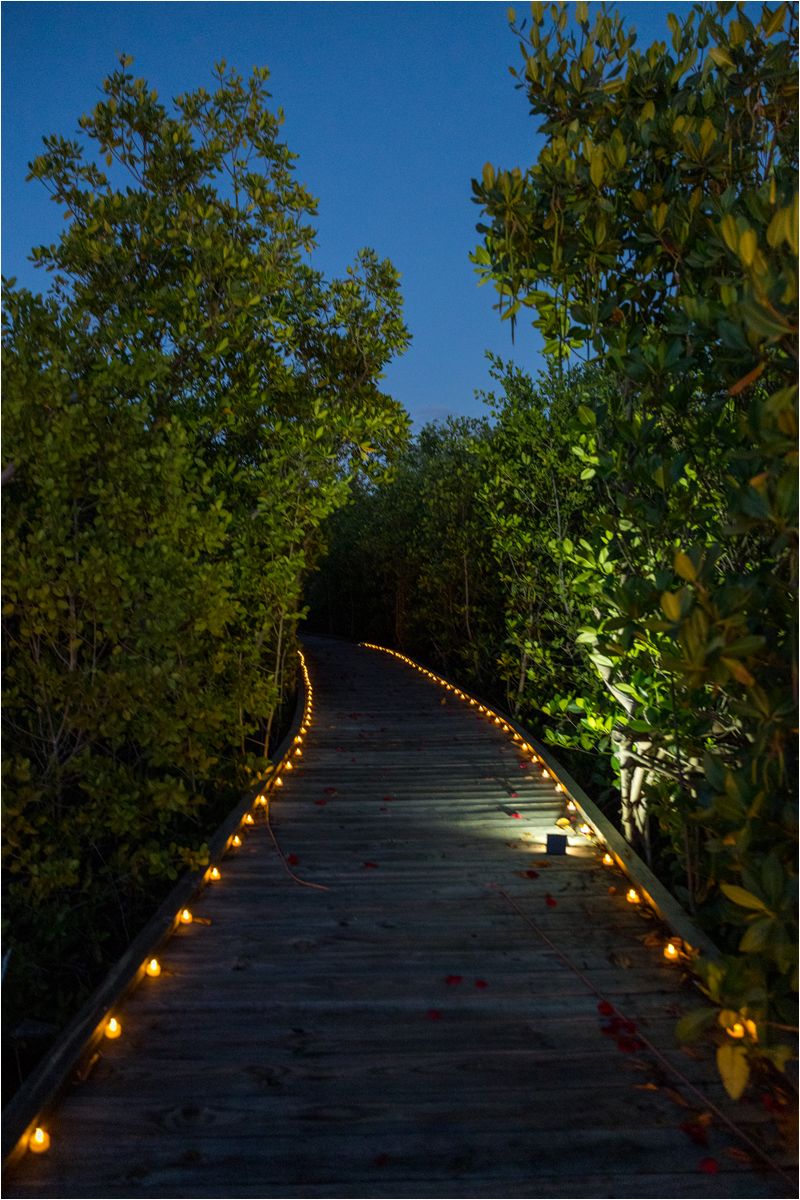 A wooden boardwalk path illuminated by lanterns at night with lush green foliage on both sides.