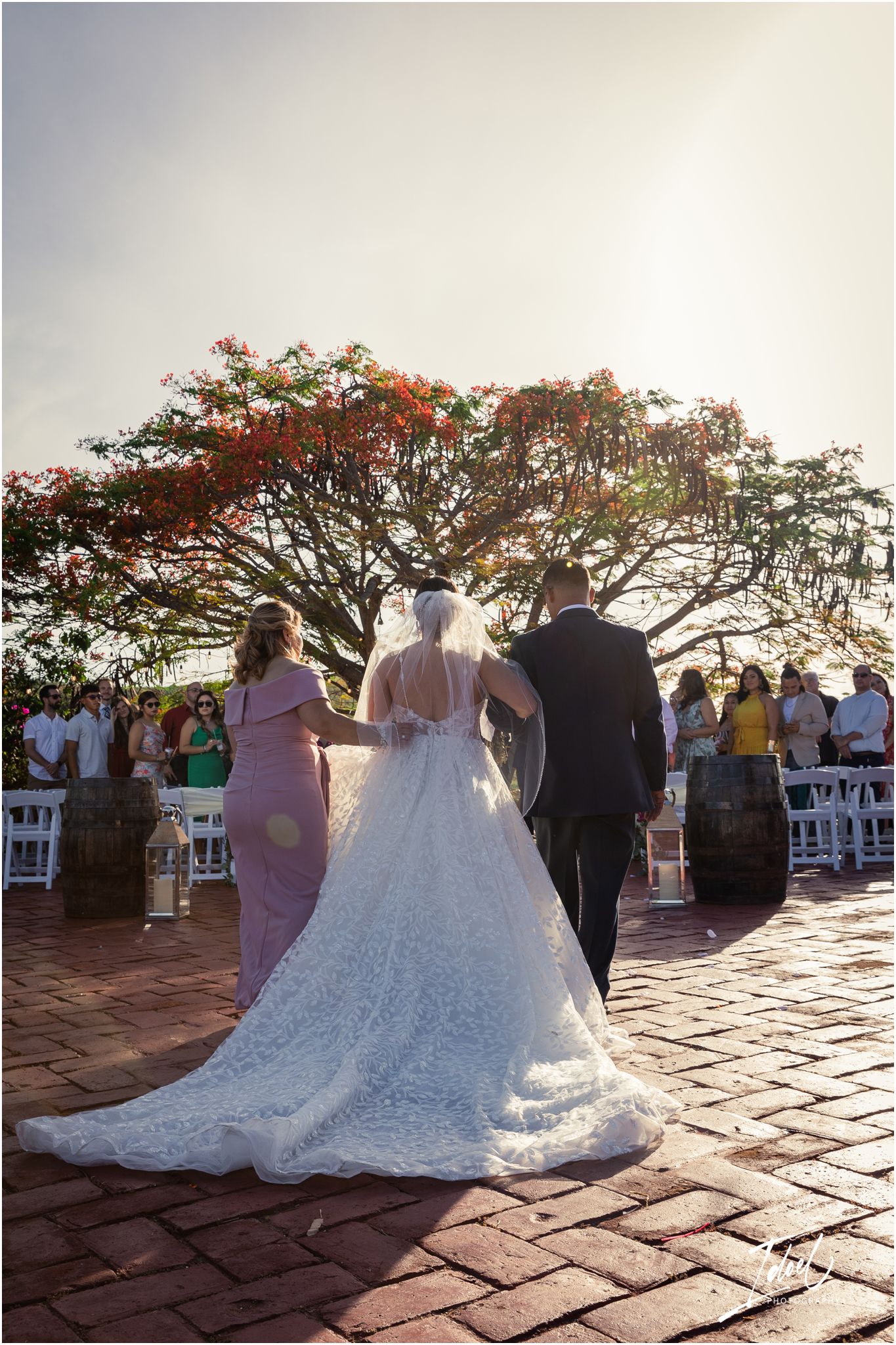 Wedding ceremony under a flowering tree with red blossoms on brick paving at sunset.