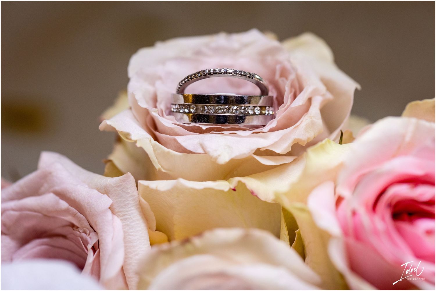 A diamond wedding ring nestled in the center of a pale pink rose in macro photography.