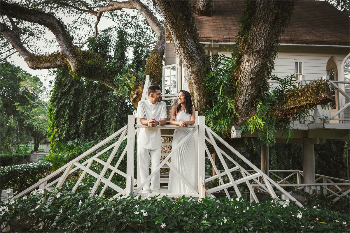 Rustic wooden gazebo with white lattice details nestled among lush green trees in a garden setting.