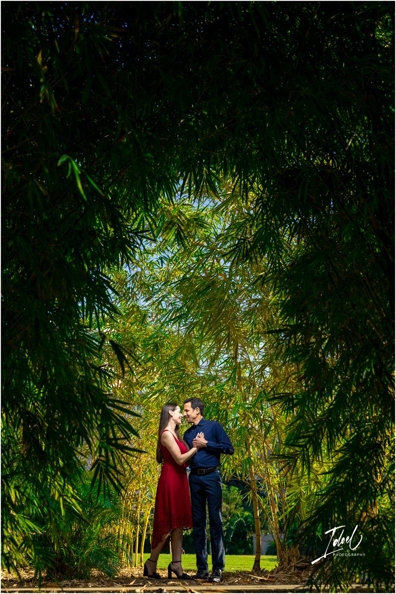 Couple sharing a romantic kiss framed by lush bamboo trees in a serene garden setting.