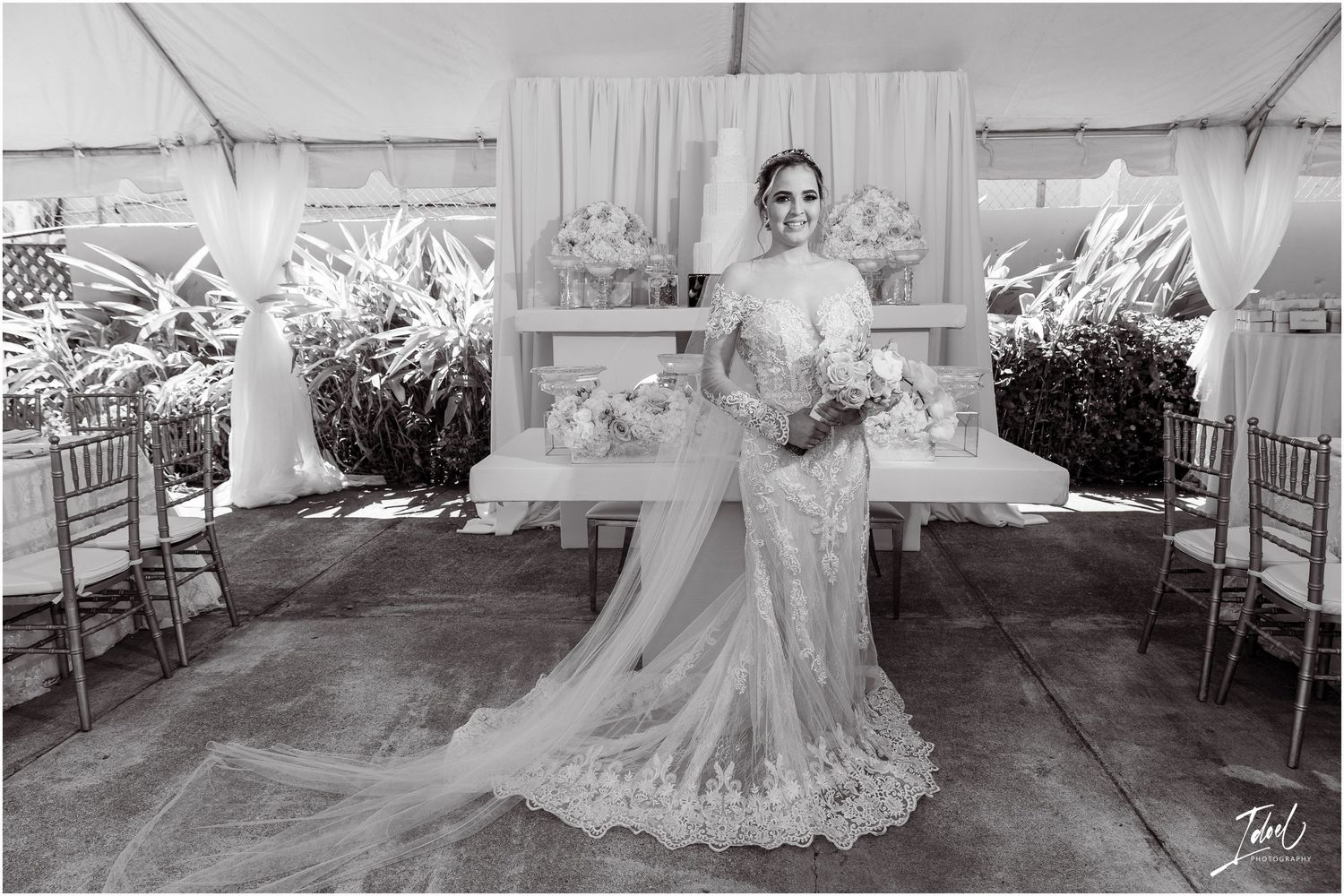 A bride poses in a lace wedding gown with cathedral veil in an outdoor tent setting.