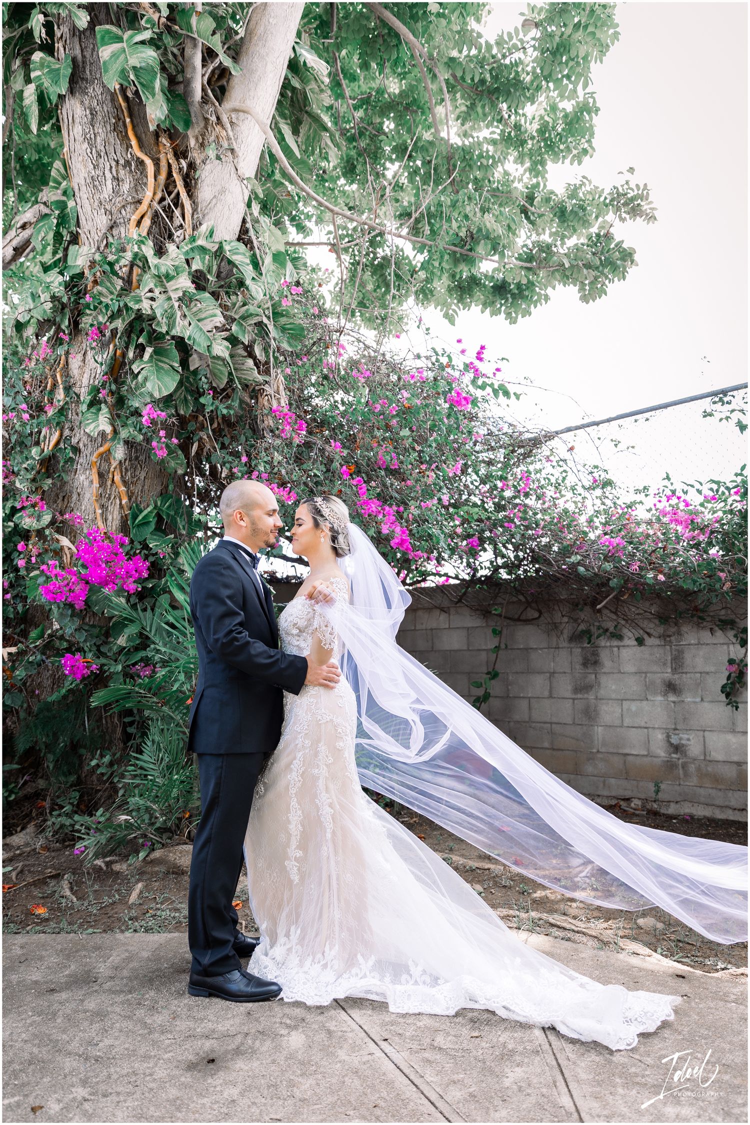 A romantic wedding photo of a couple embracing under vibrant pink bougainvillea flowers and greenery.