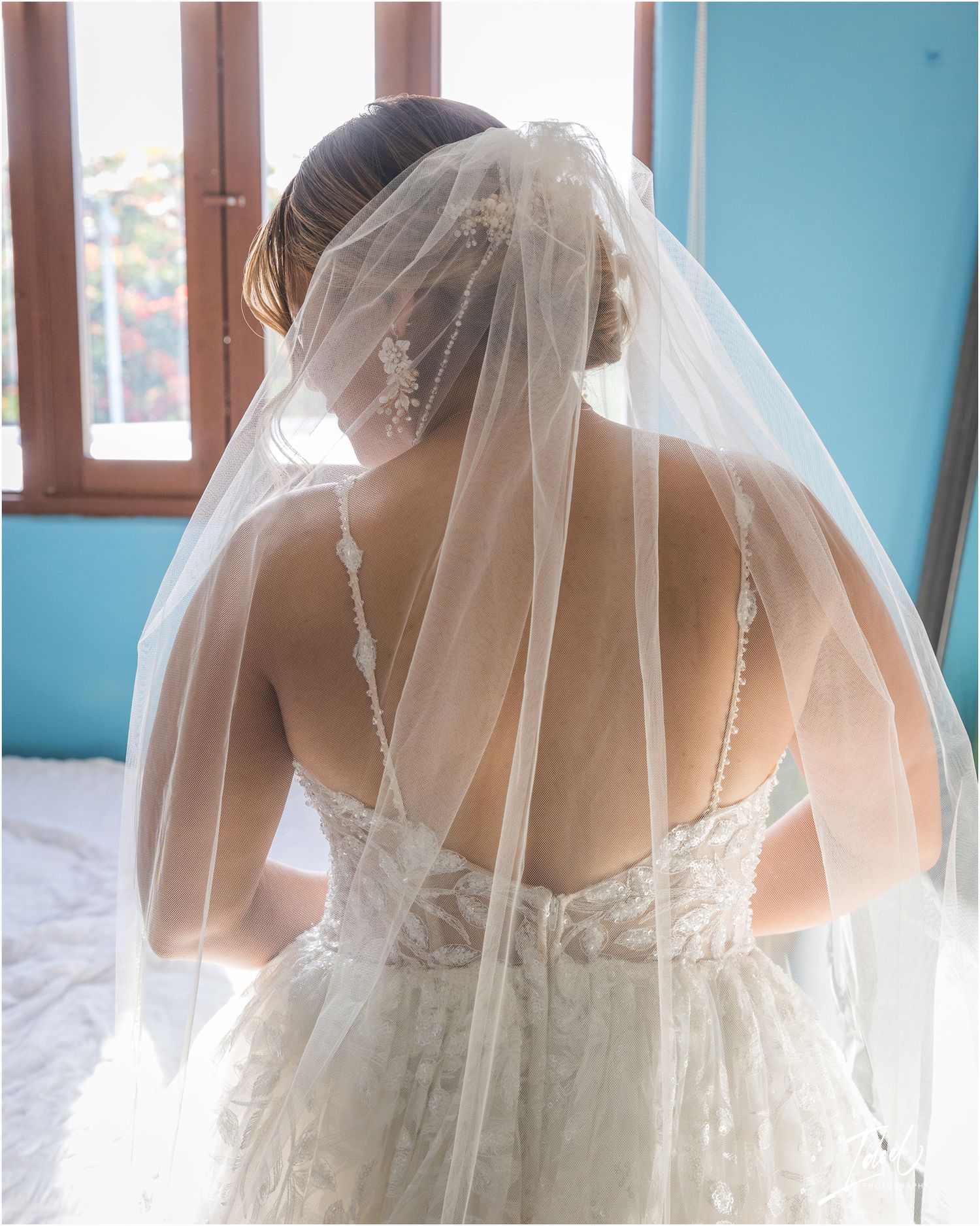 Back view of a bride wearing a detailed lace wedding gown with sheer tulle veil.