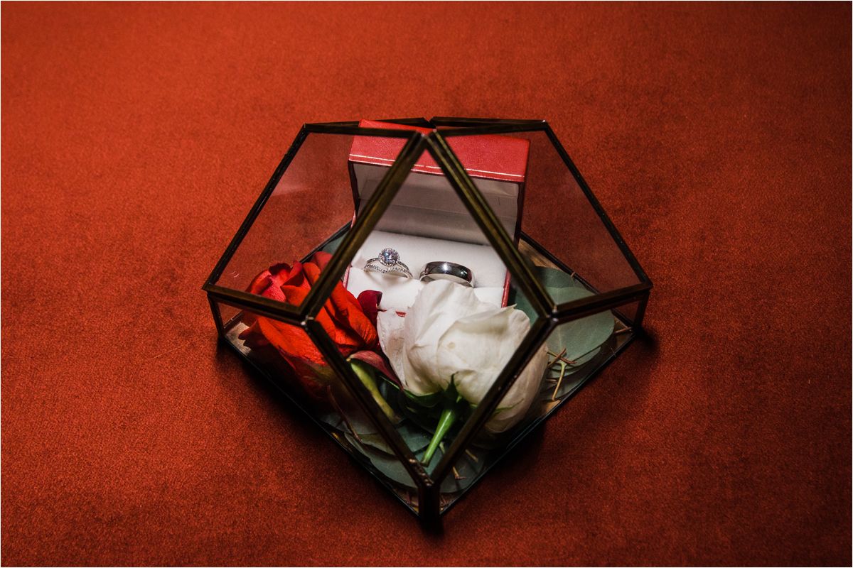 White rose in geometric glass terrarium against deep red background.