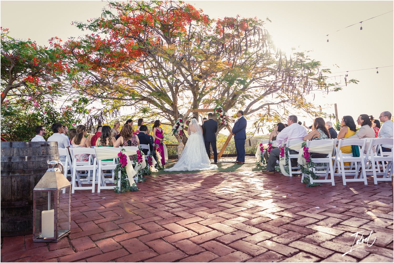 Wedding ceremony held on a brick patio under a vibrant red flowering tree with white chairs.