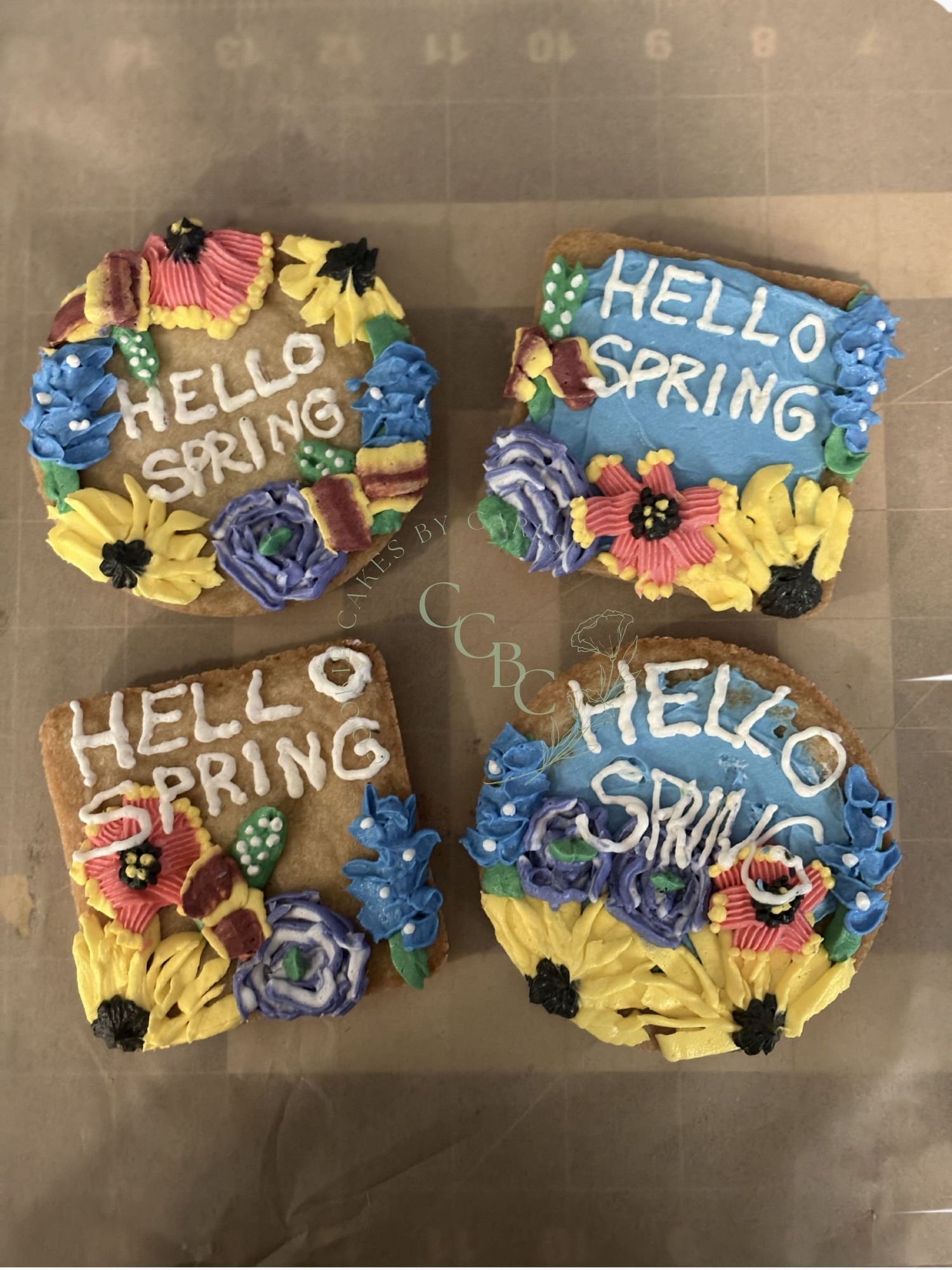 hello spring single 4