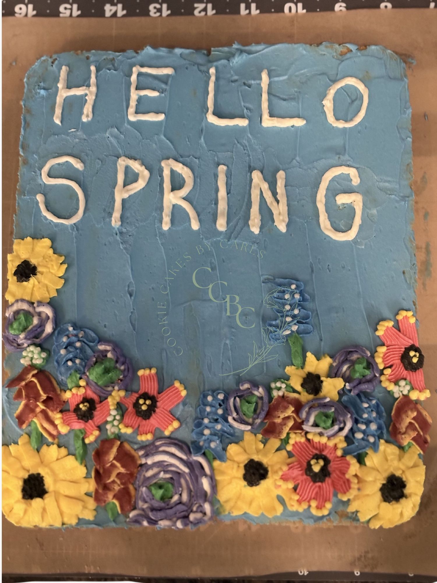 medium rectangle hello spring cookie cake