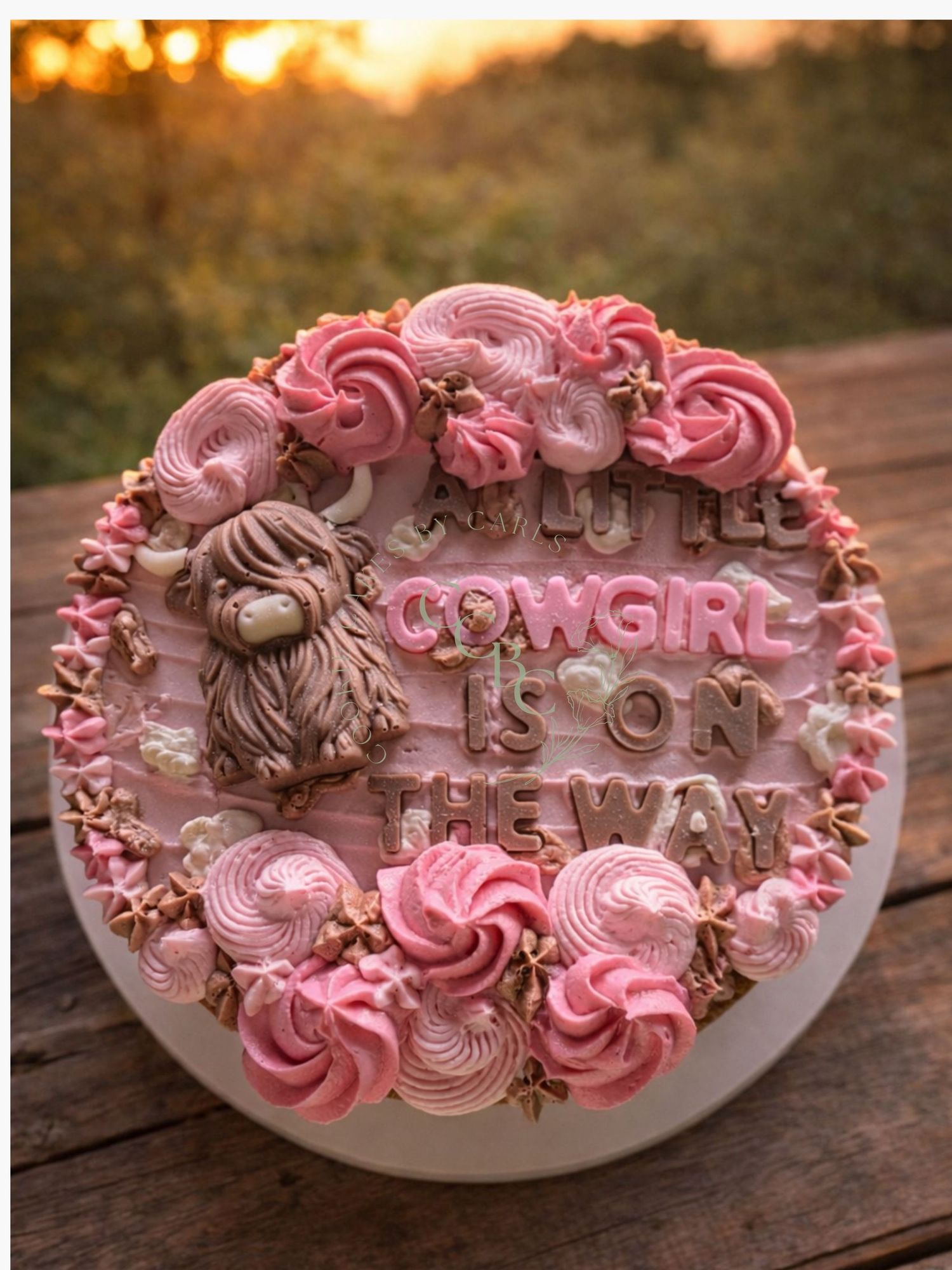 cowgirl baby shower