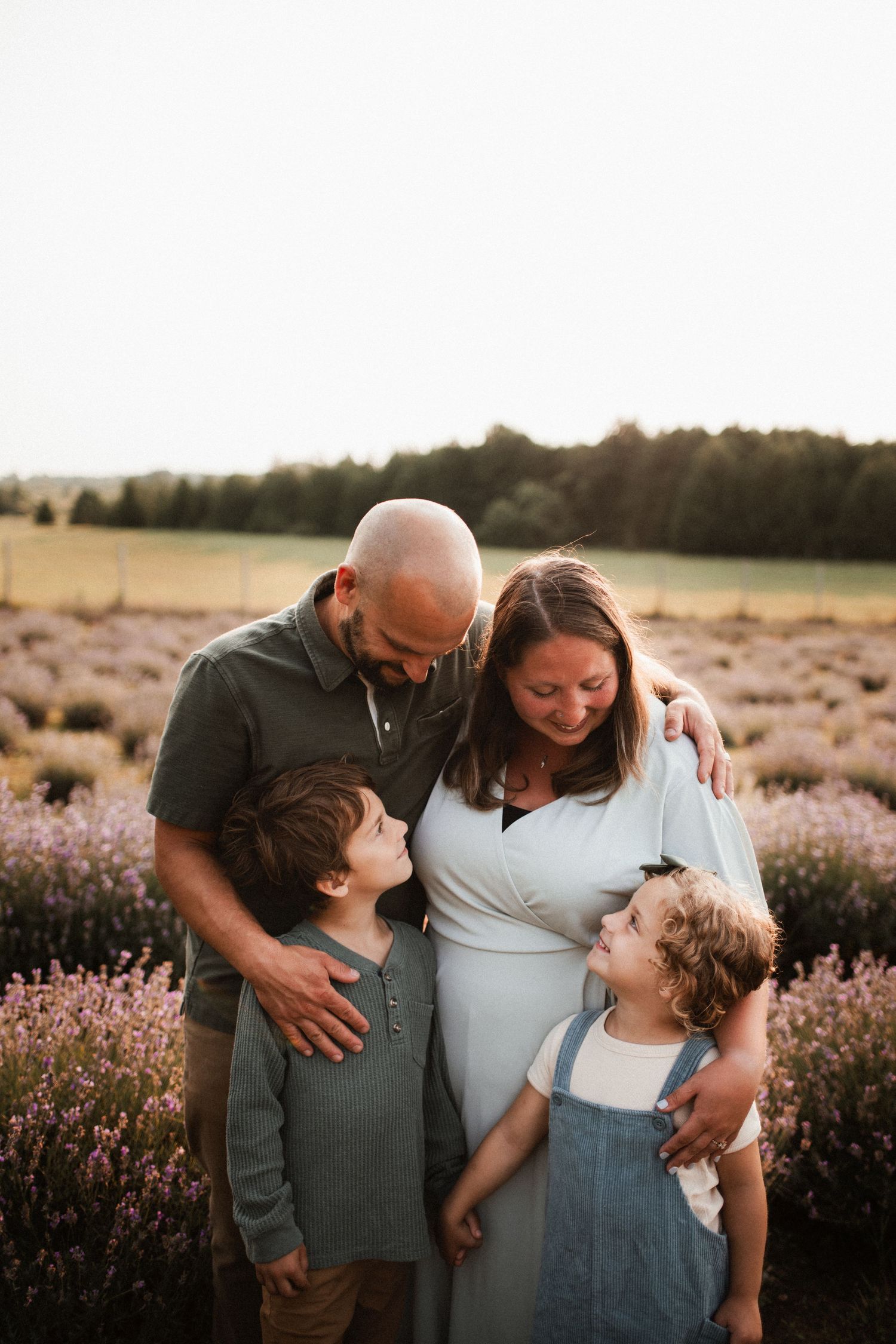 A family shares tender moments in a field of purple lavender fields during a sunset maternity photo session.