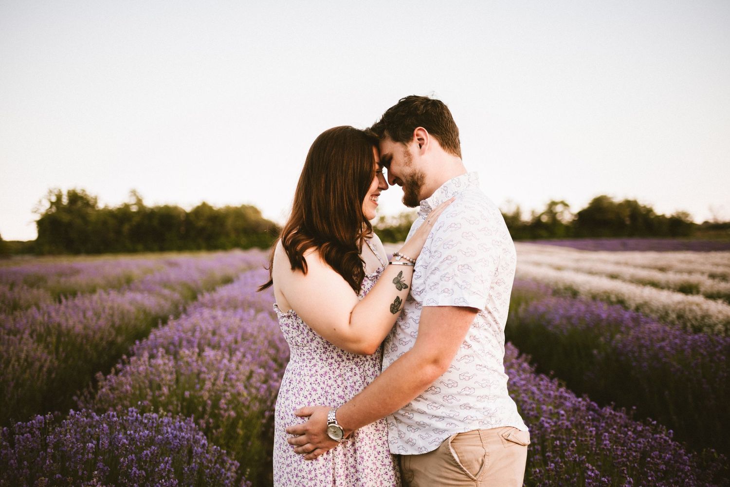 Romantic couple poses together in blooming lavender field at sunset.