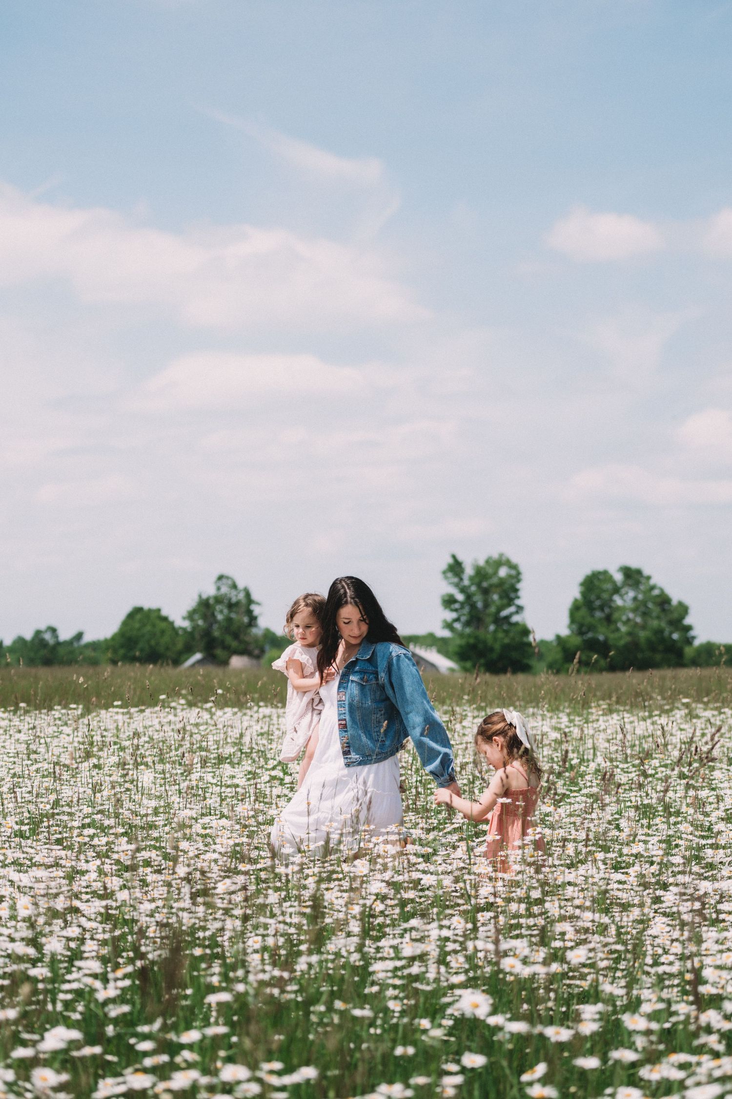 Three people walk through a blooming daisy field under a bright summer sky.