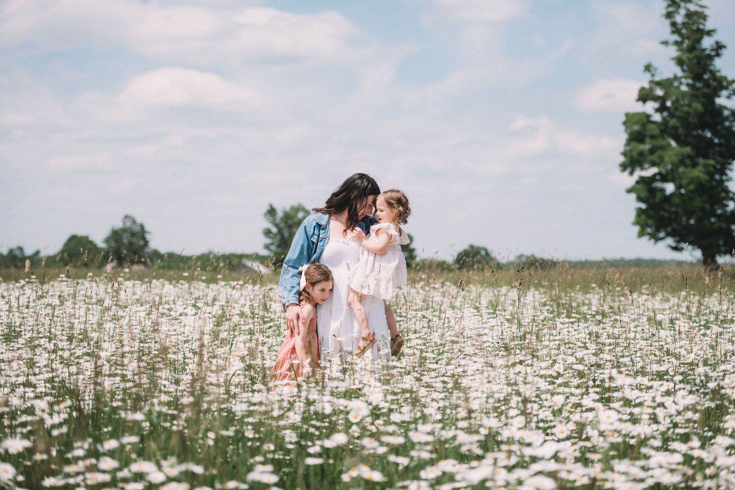 Family enjoying a sunny day in a blooming daisy field.