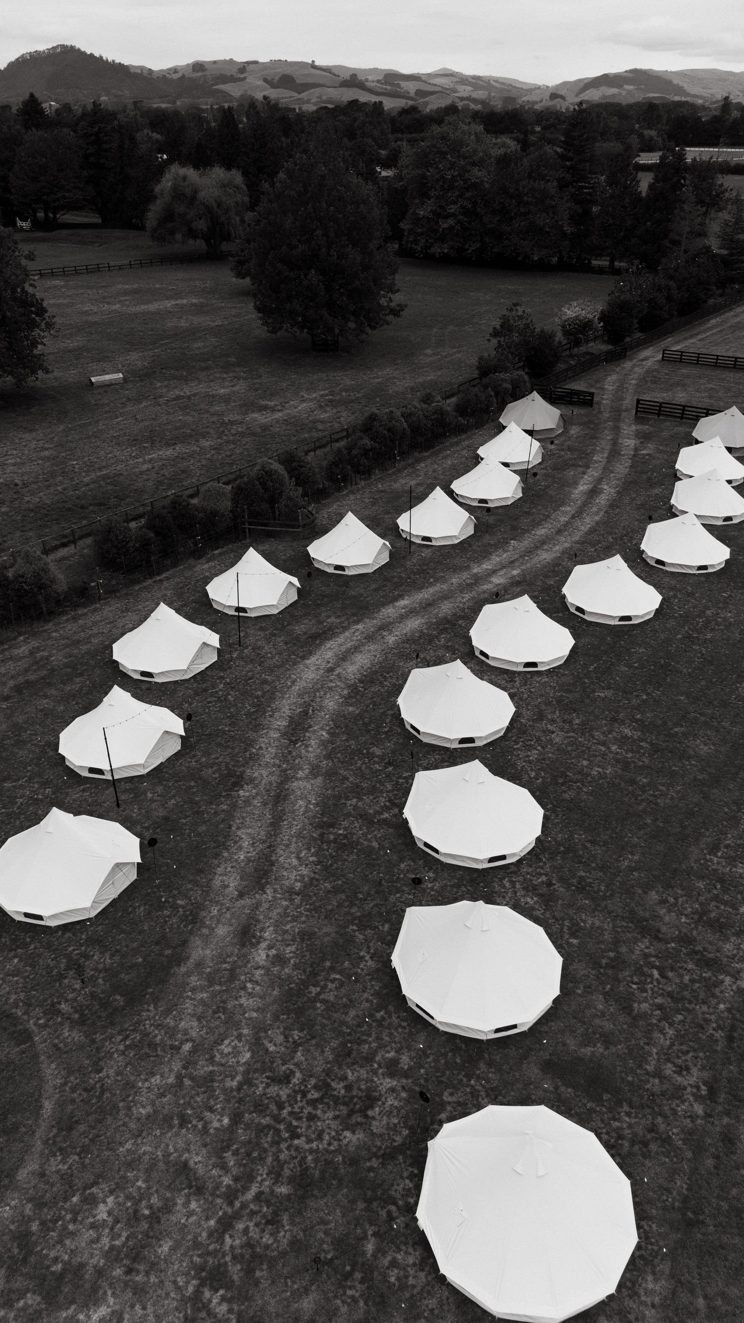 Aerial black and white view of white glamping tents arranged in rows on a green field with mountains in background.