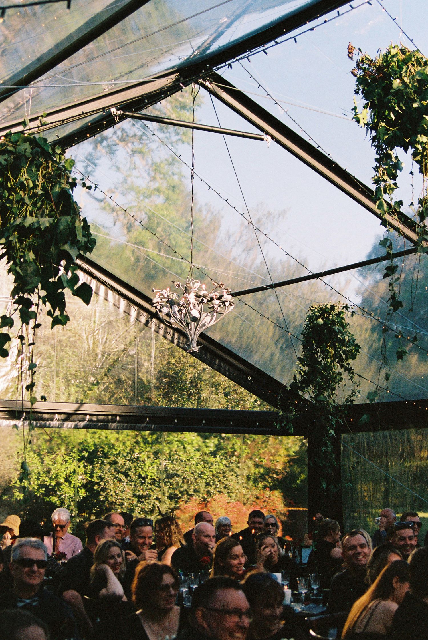 Wedding guests seated under a glass greenhouse roof with hanging greenery and string lights.