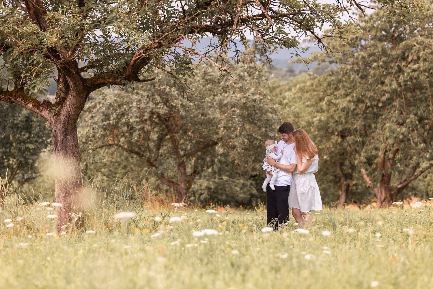 Couple embracing in a sunny meadow with wildflowers and olive trees in a romantic outdoor setting.