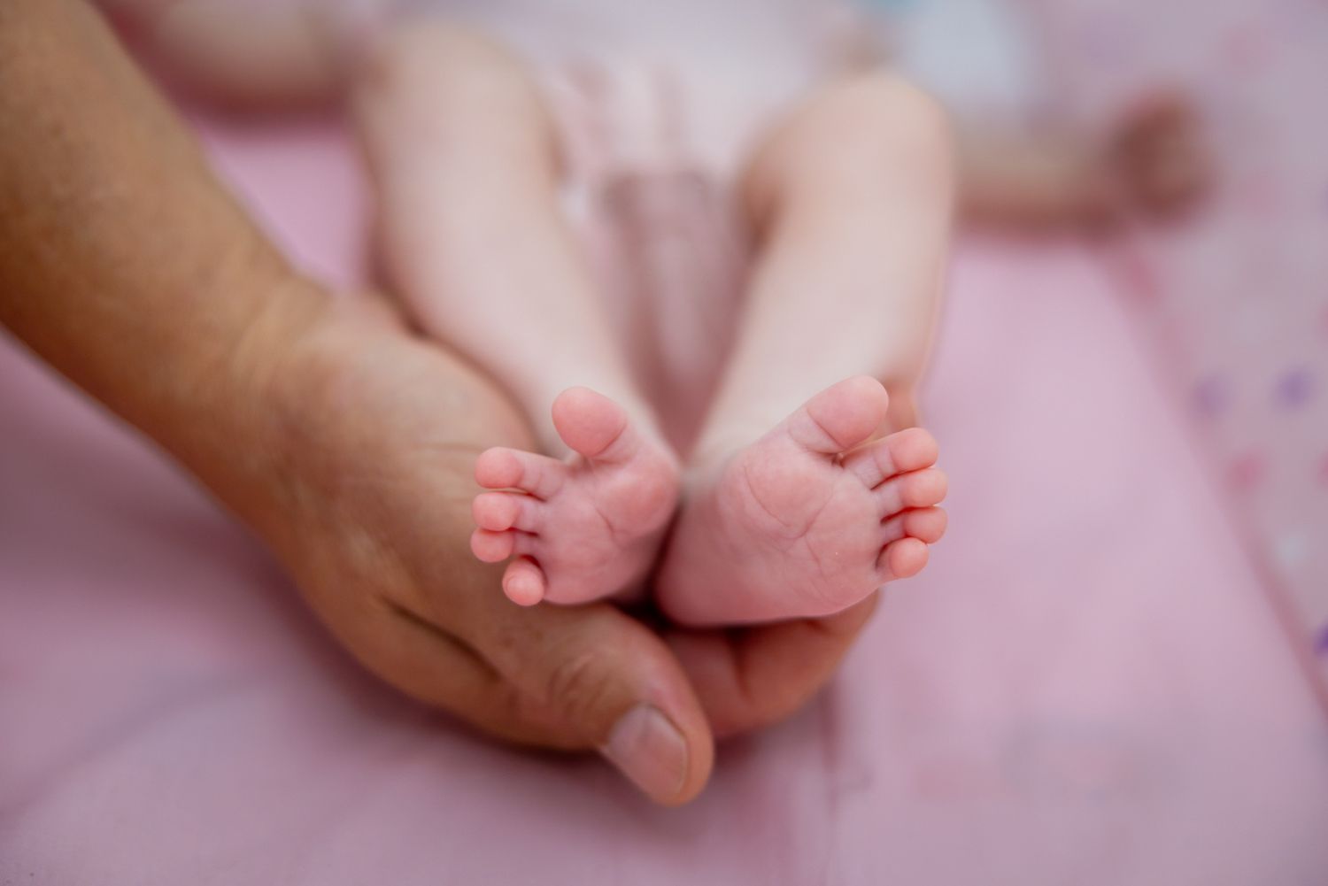 Adult hands gently cradling tiny newborn baby feet on a soft pink blanket.