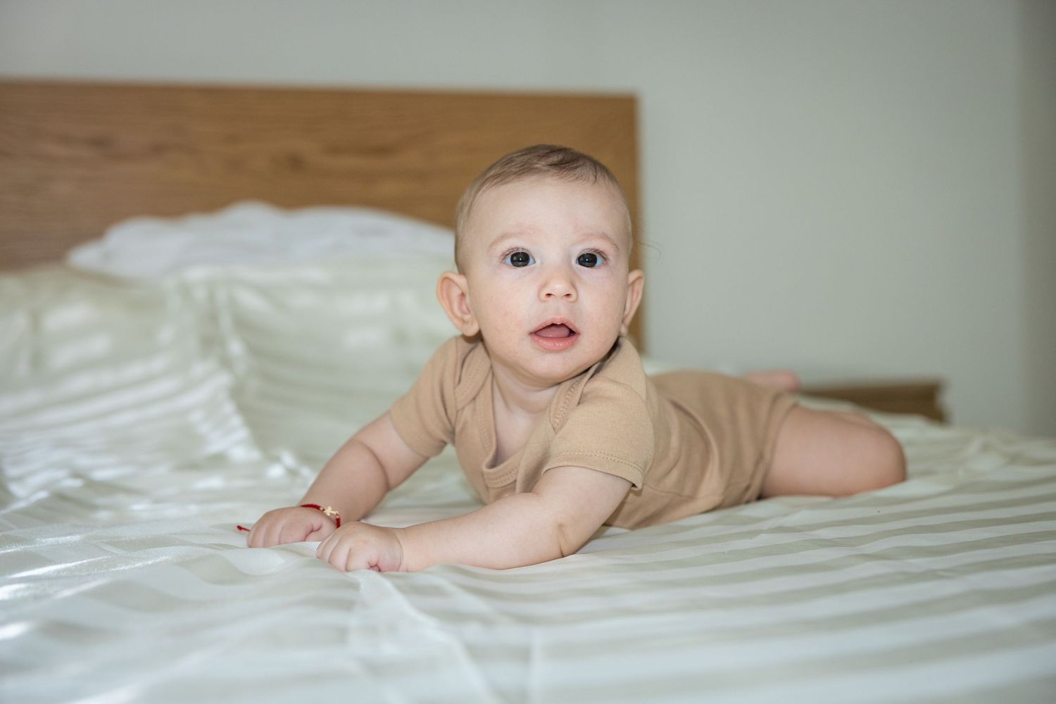 Carlo liegt in einem beigen Body auf dem Bauch auf einem hellen Bett und schaut neugierig in die Kamera.
