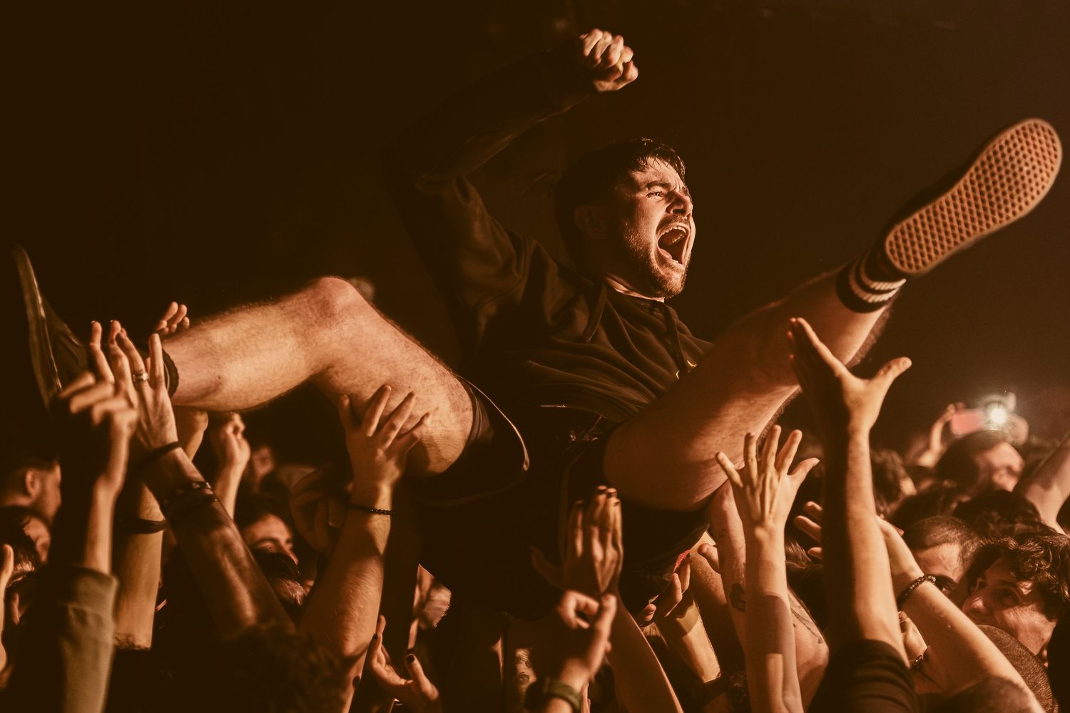 Only Metal Photos - Polaris