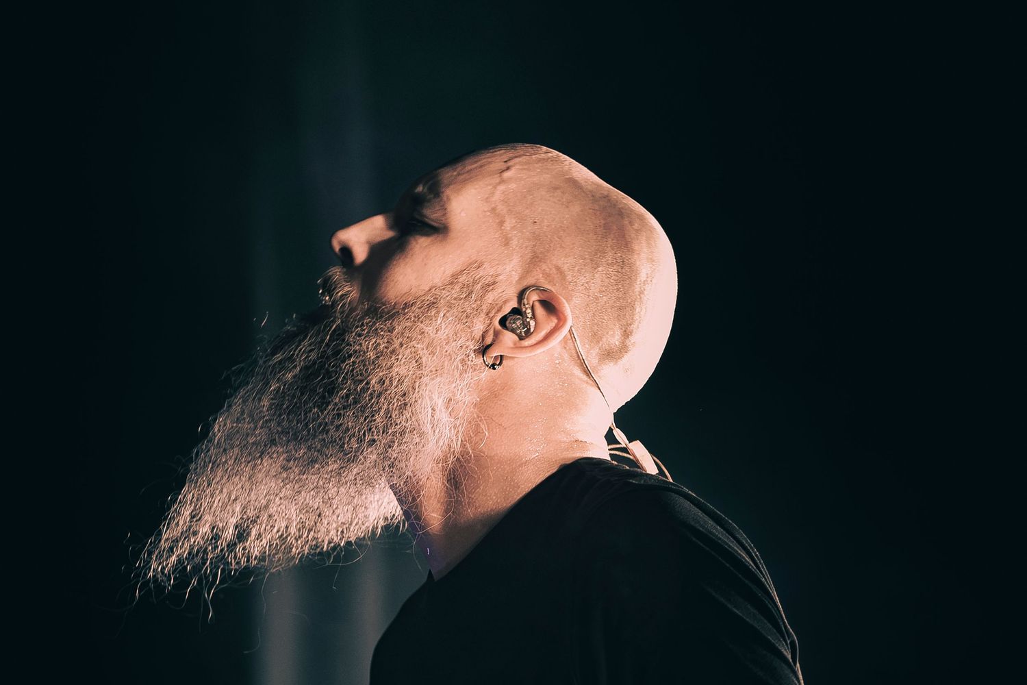 Only Metal Photos - Meshugga