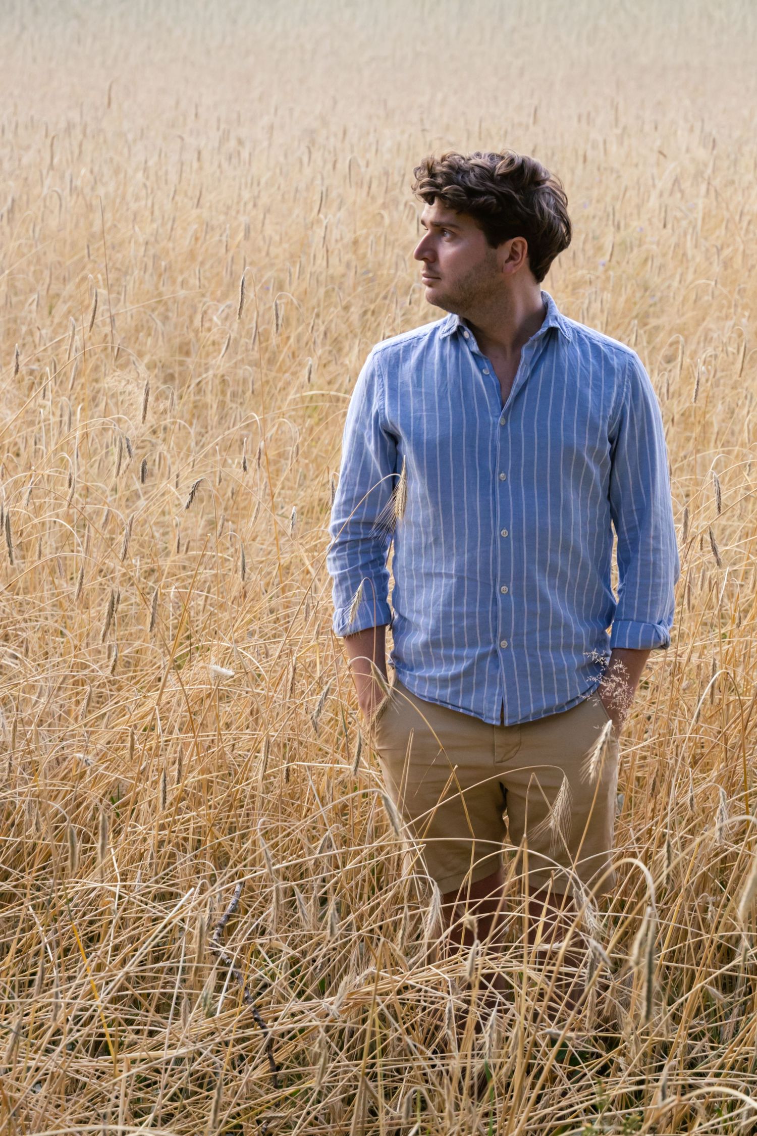 Young man in blue striped shirt and khaki pants standing in golden wheat field looking away.