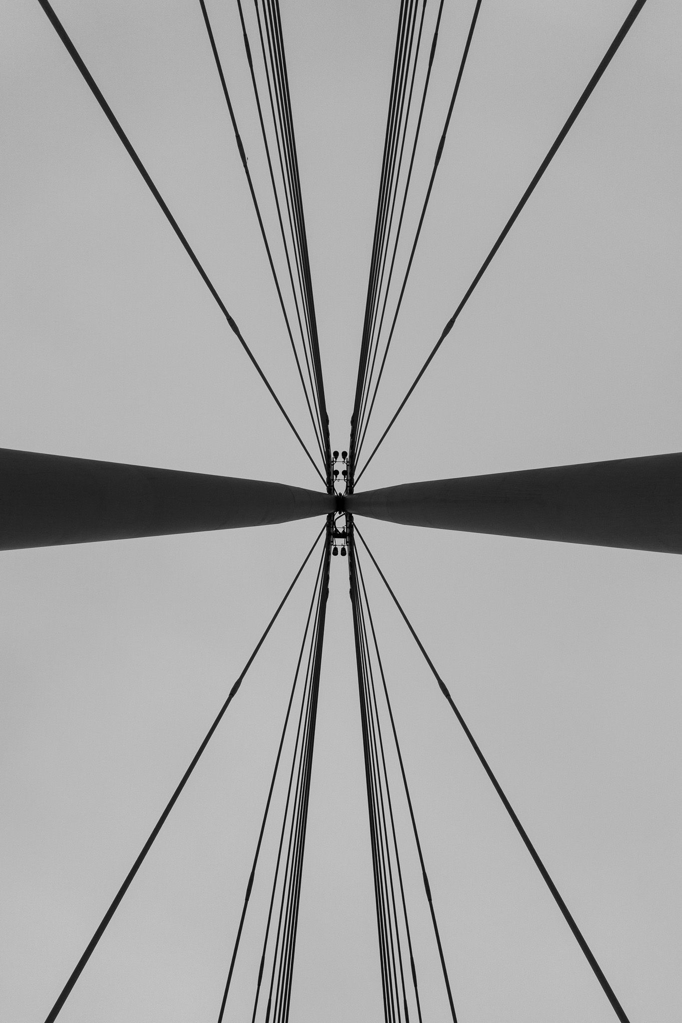 Black and white abstract view of cable-stayed bridge cables converging at a central pylon against a grey sky.
Reizen - Lynn - Londen